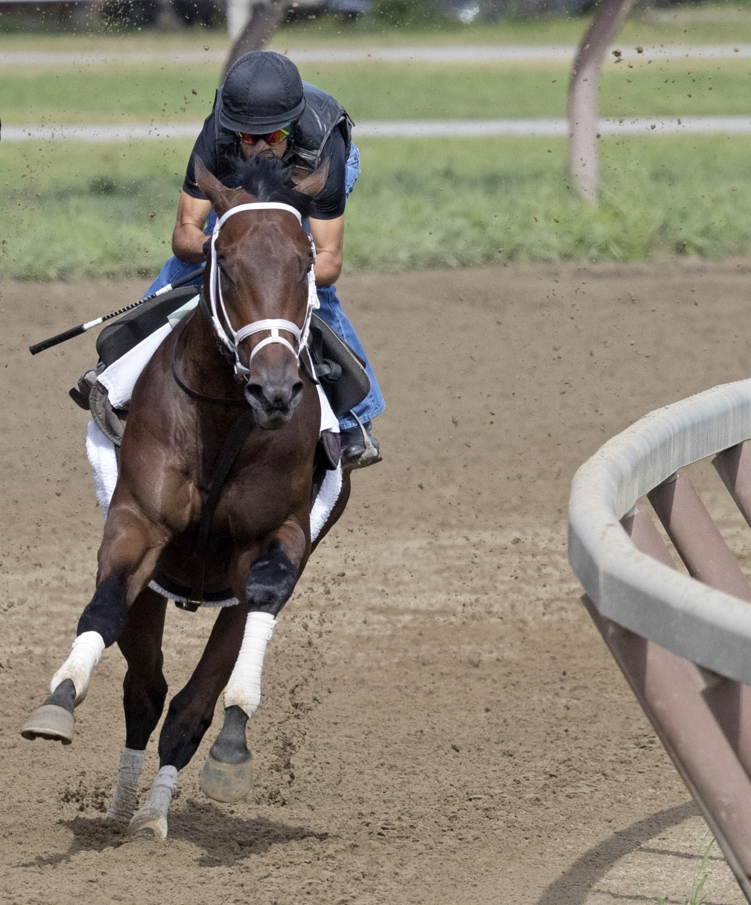 Mojovation trains at Saratoga on Aug. 14, 2017