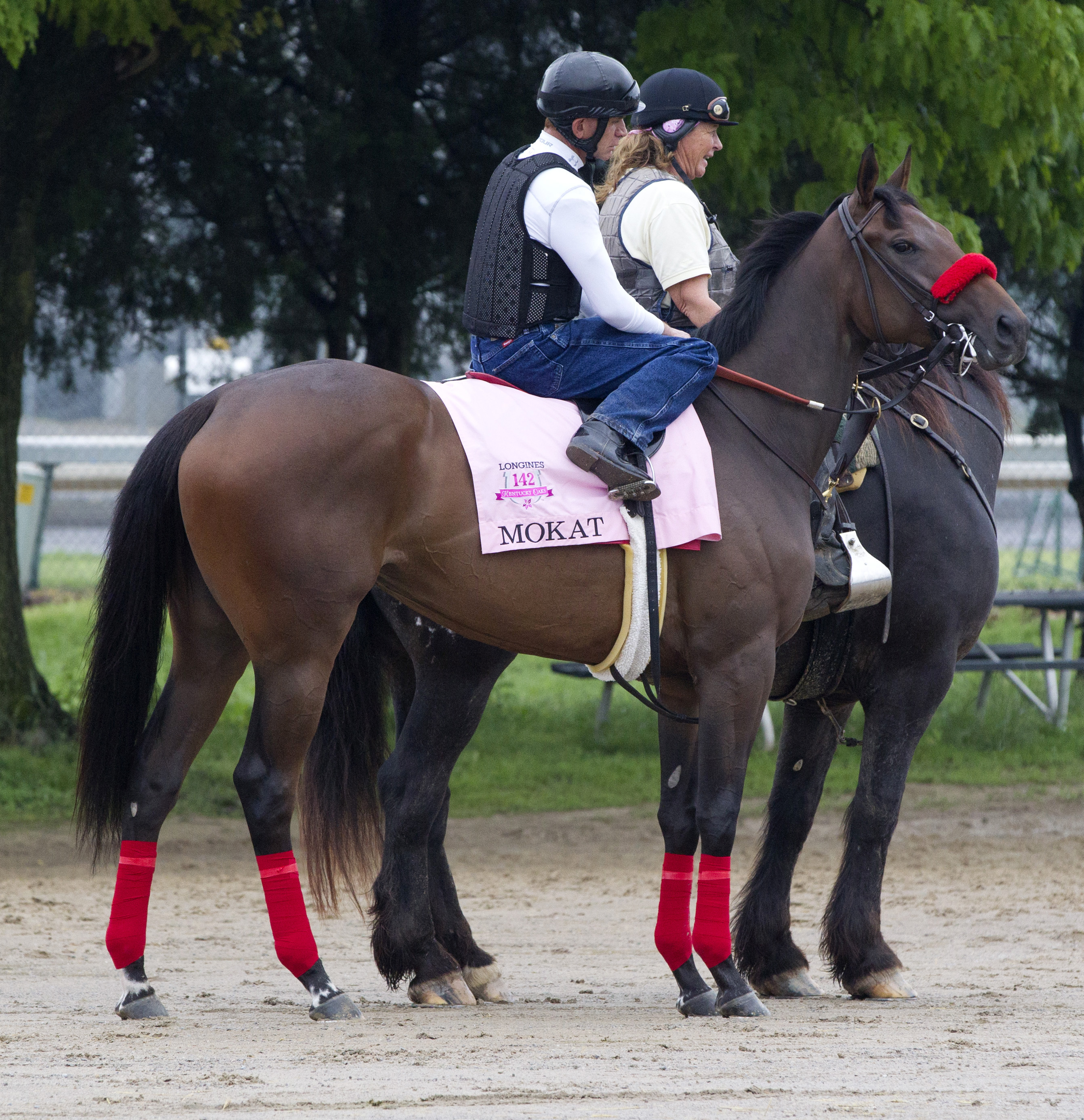 Mokat at Churchill Downs on May 1
