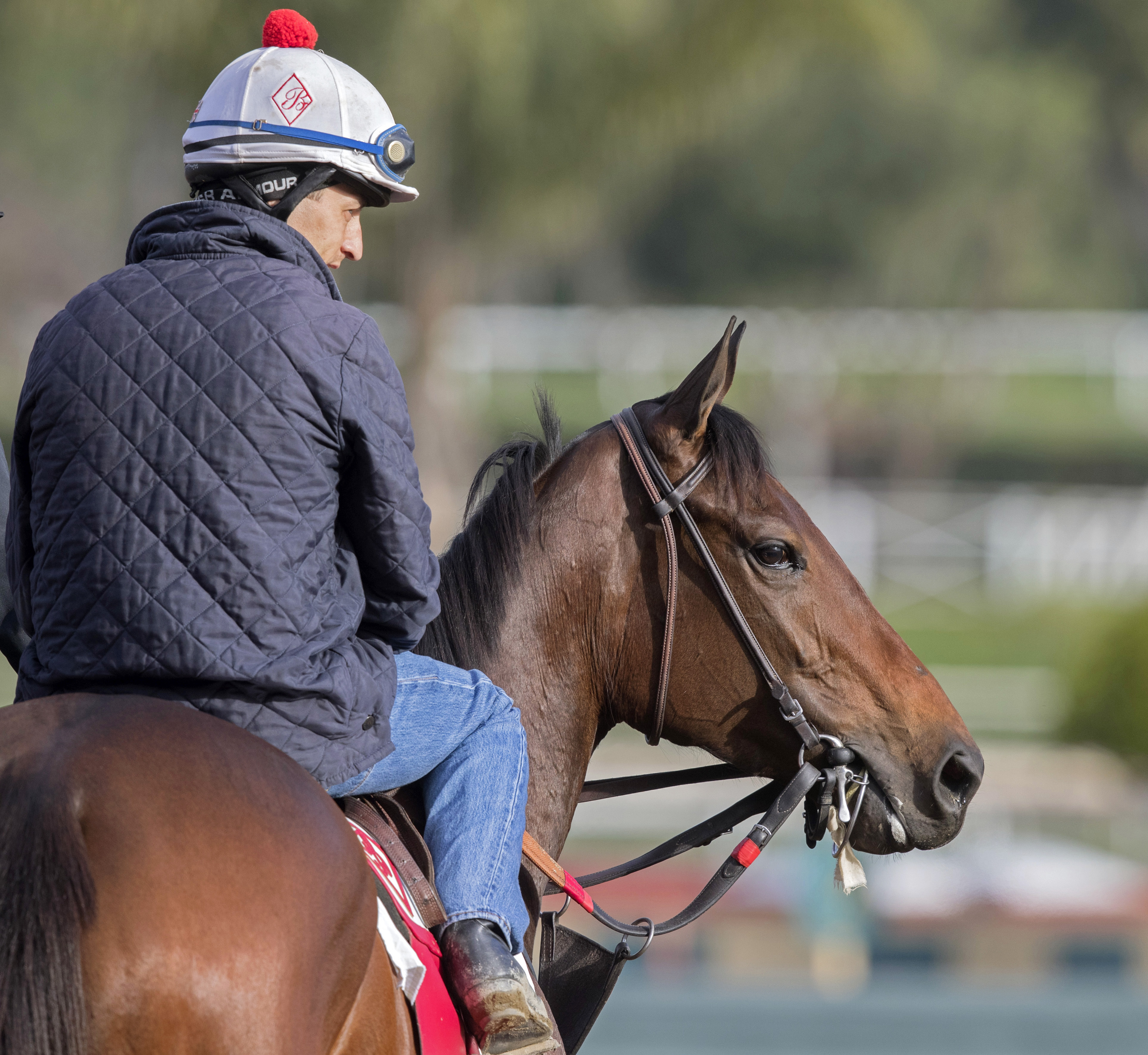 Mokat at Gulfstream in February 2017