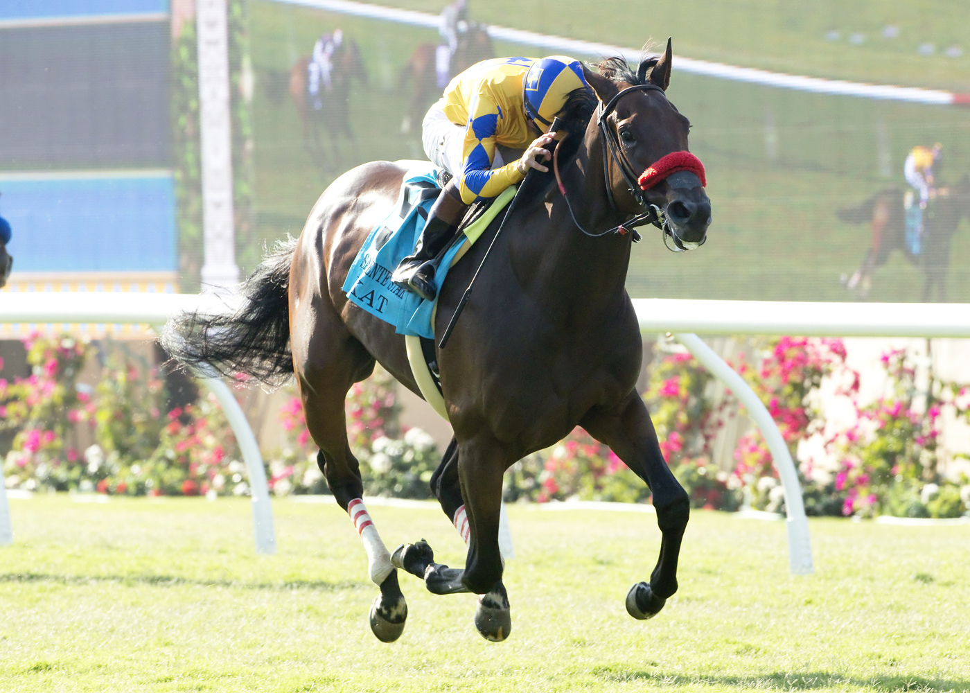 Mokat wins the San Clemente