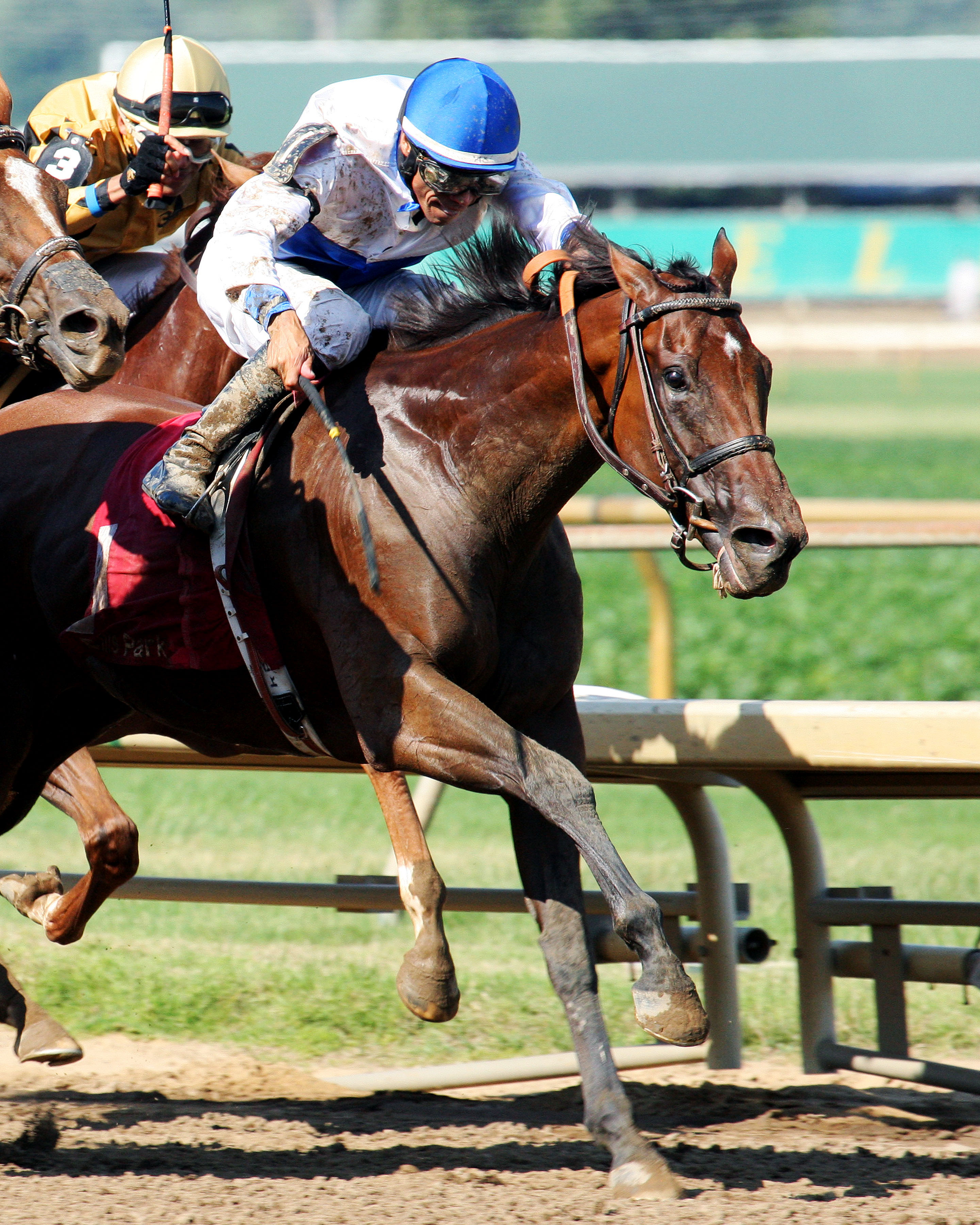 Molly Morgan wins the Gardenia Stakes