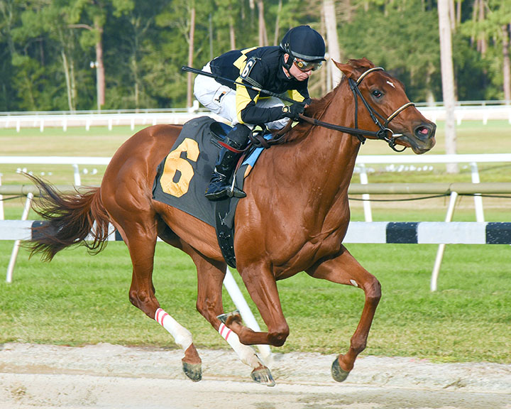 Molto Bella wins the 2019 Gasparilla