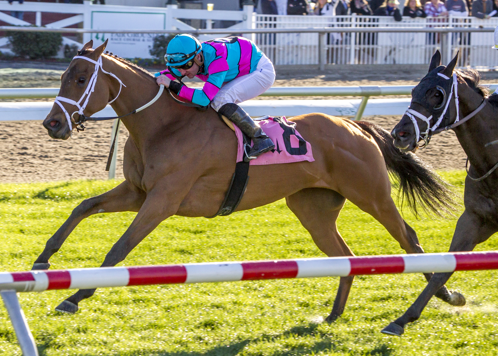 Adam Beschizza wins the Marie Krantz Memorial Stakes aboard Mom's On Strike