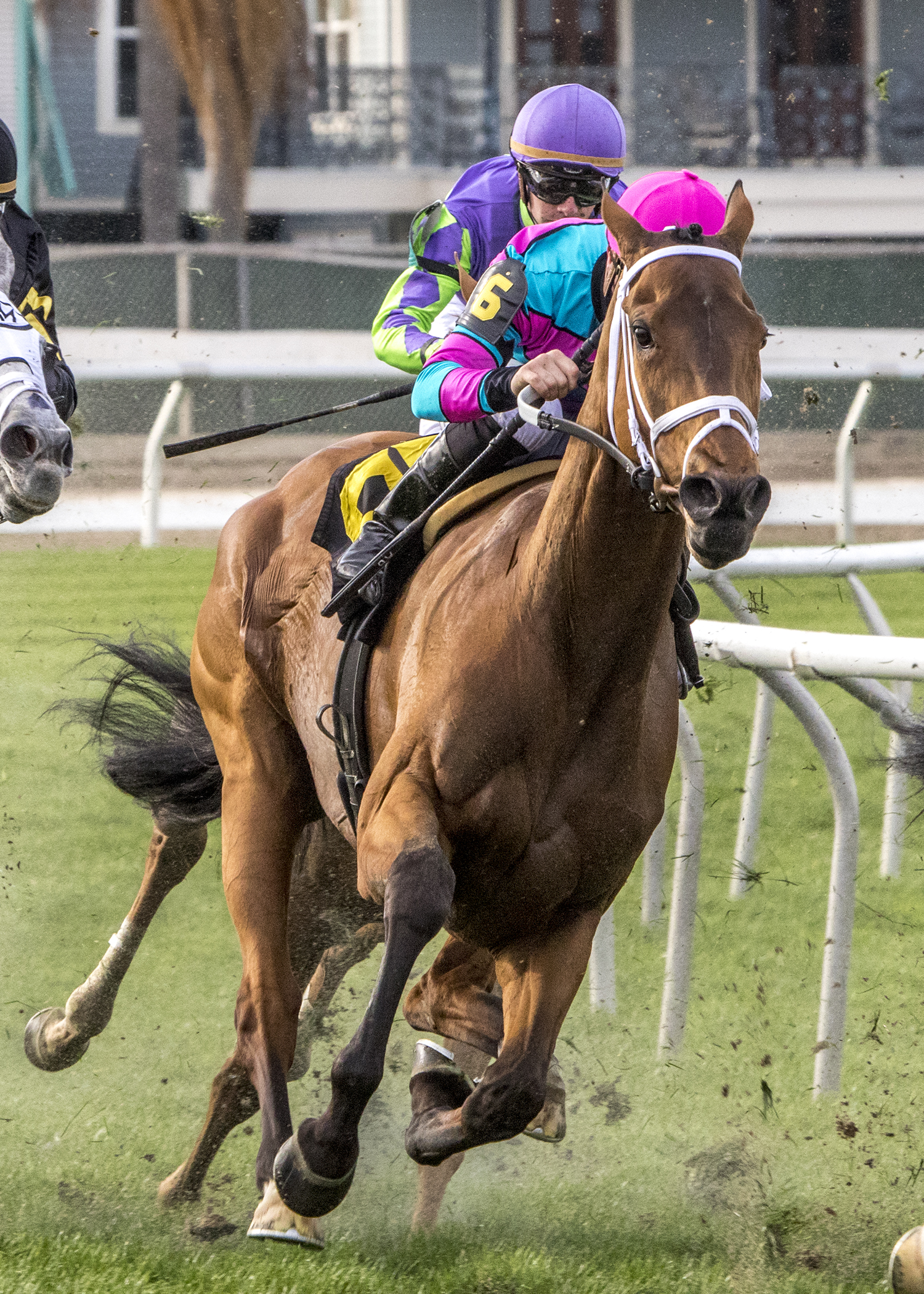 Mom's On Strike wins the 2018 Albert M. Stall Stakes