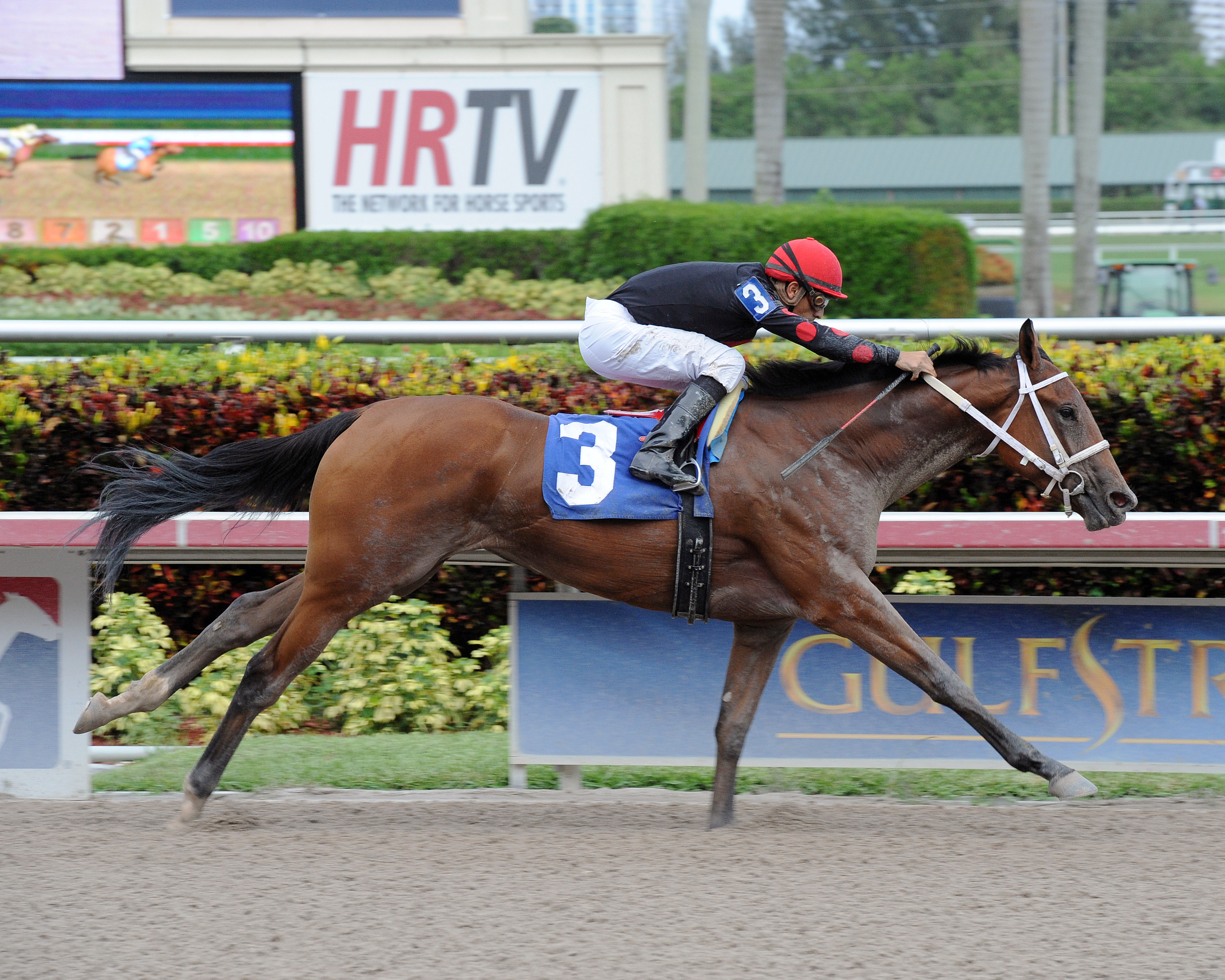 Moment of Delight wins a maiden race