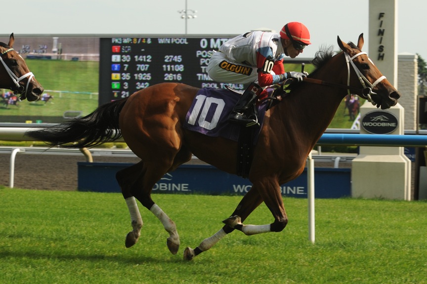 Moment of Majesty/Zadracarta