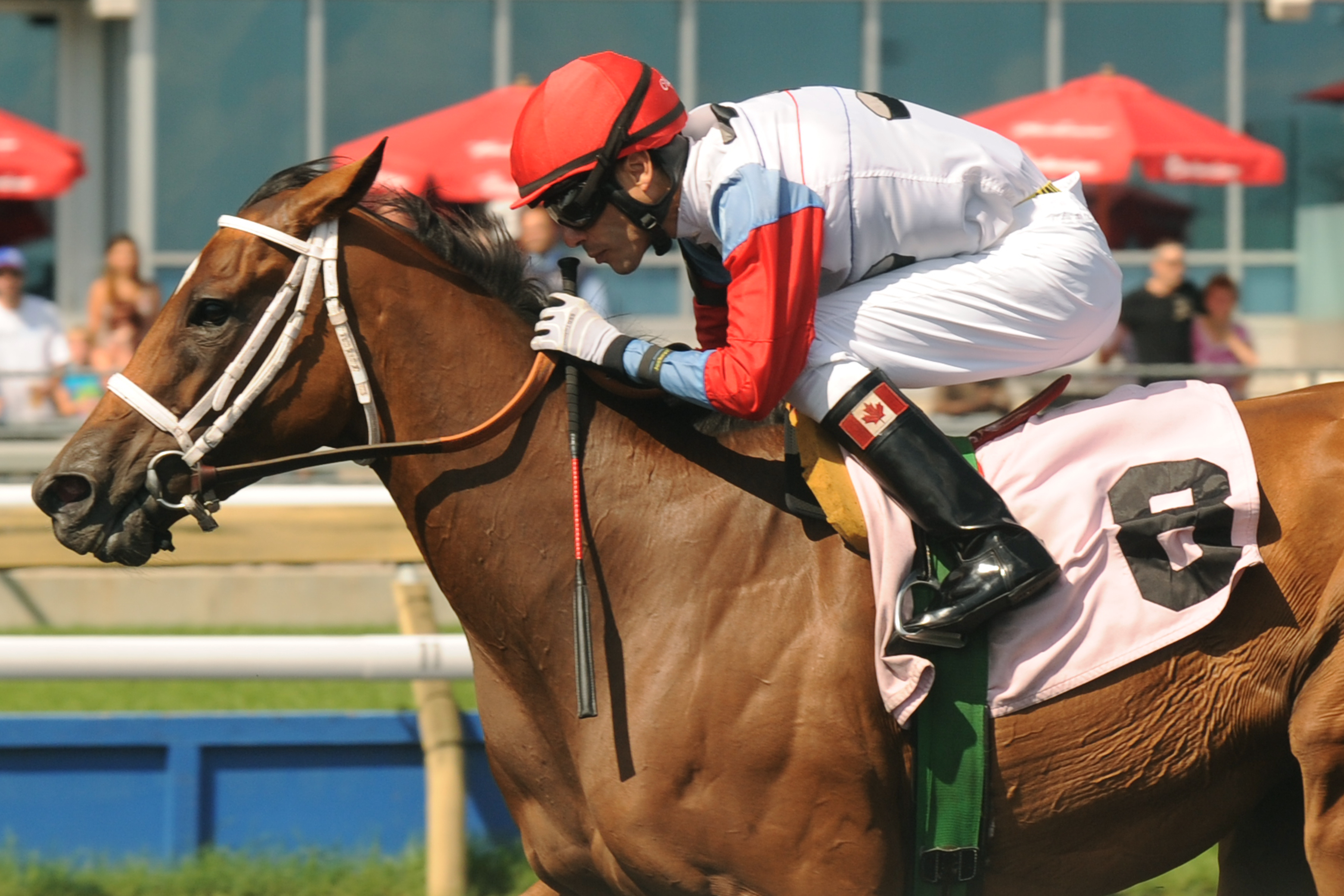 Moment of Majesty/Belle Mahone Stakes