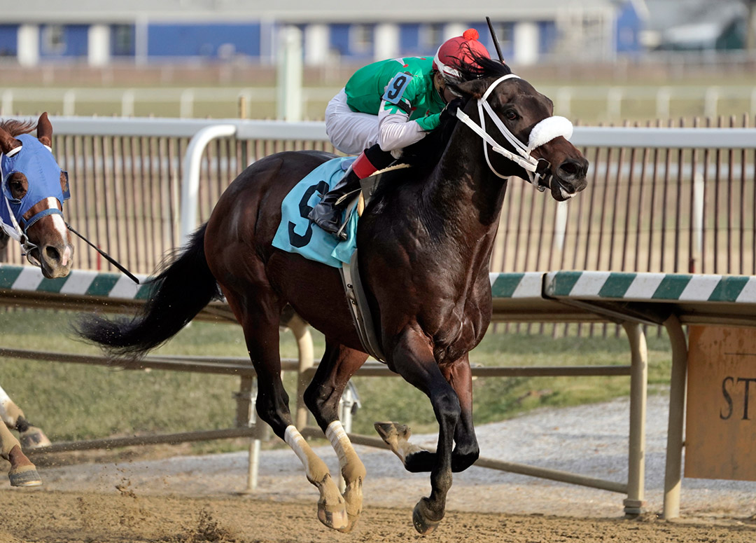 Monday Morning Qb wins the 2019 Heft Stakes at Laurel Park