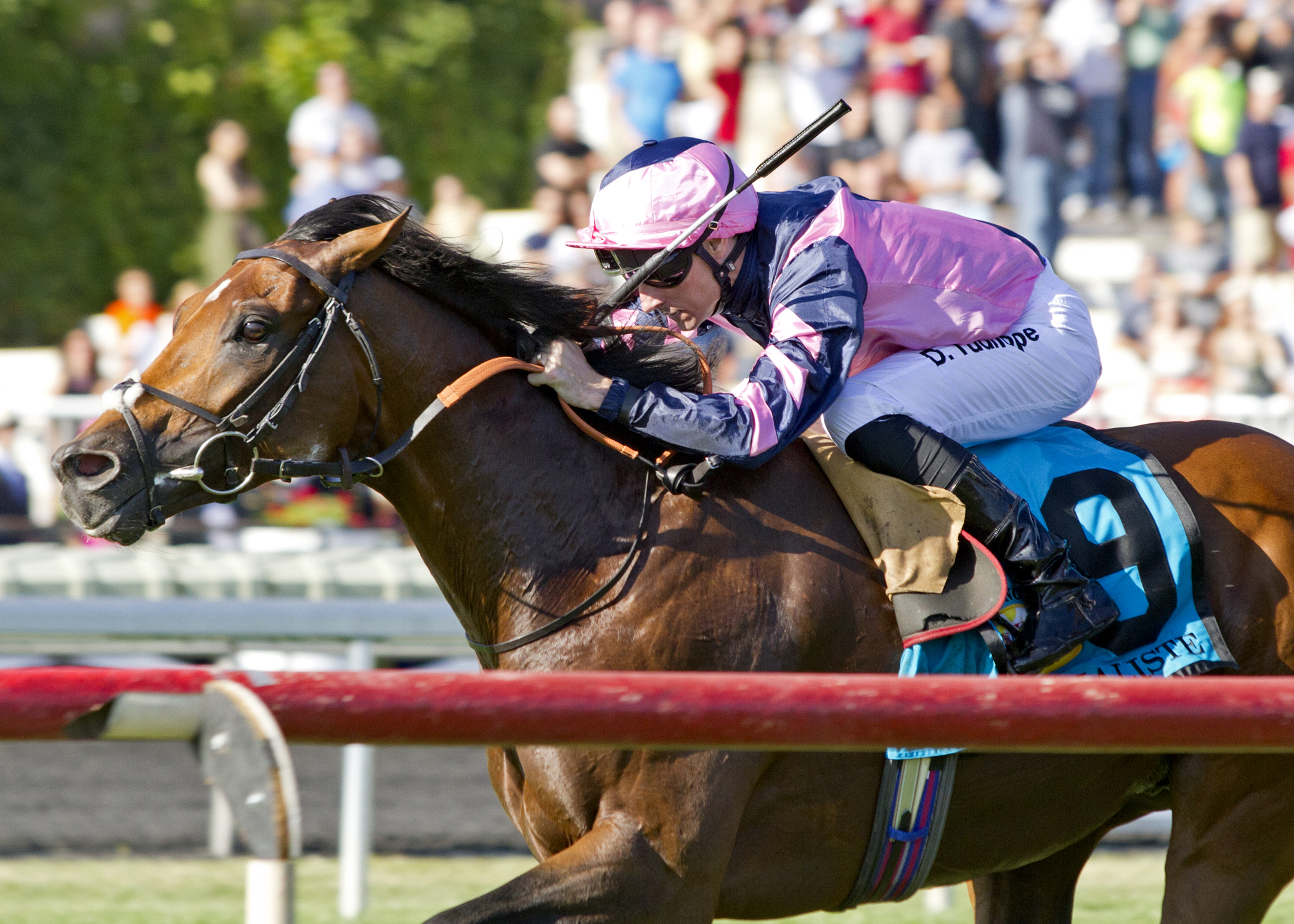 Mondialiste wins the Arlington Million