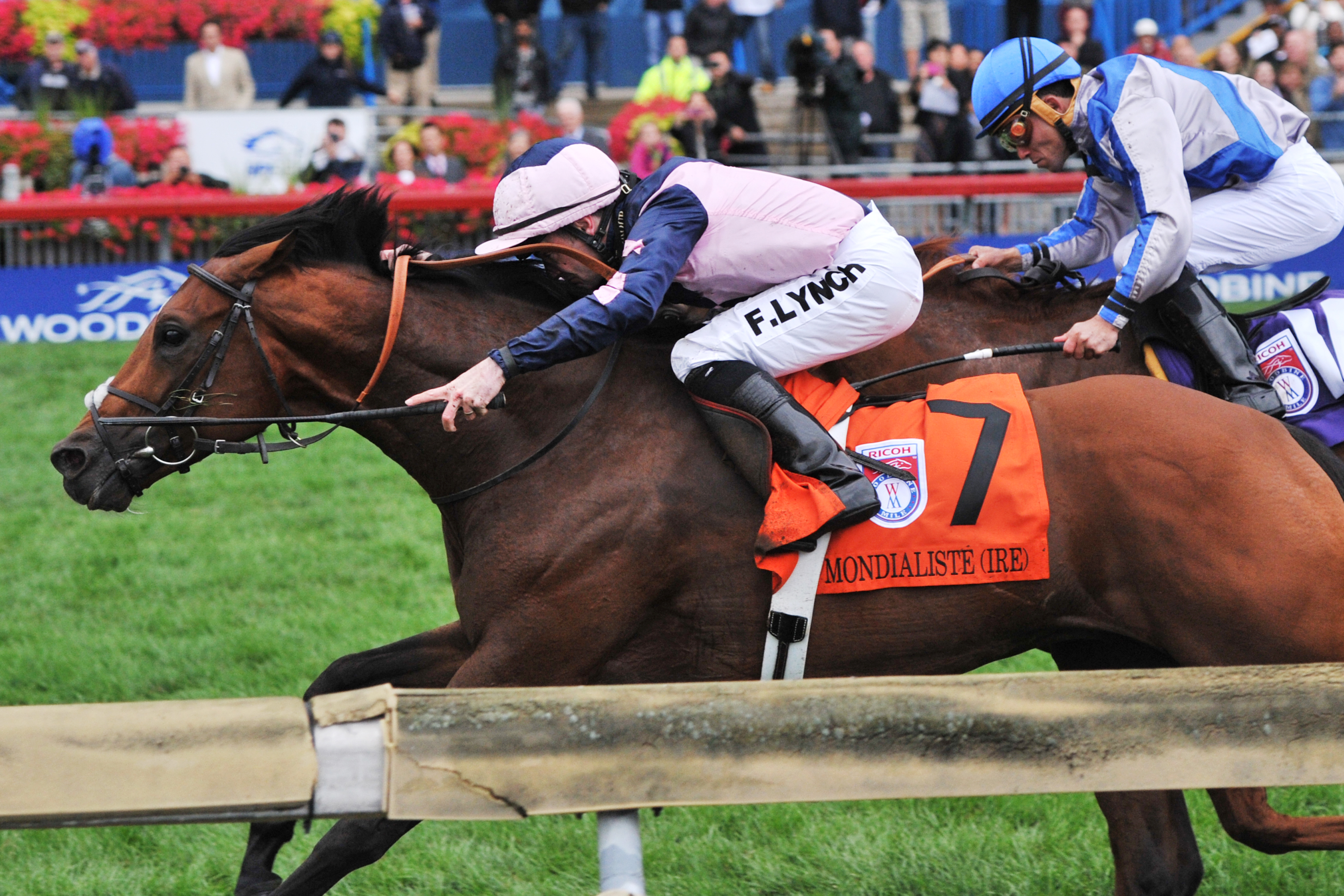 Mondialiste wins the Woodbine Mile