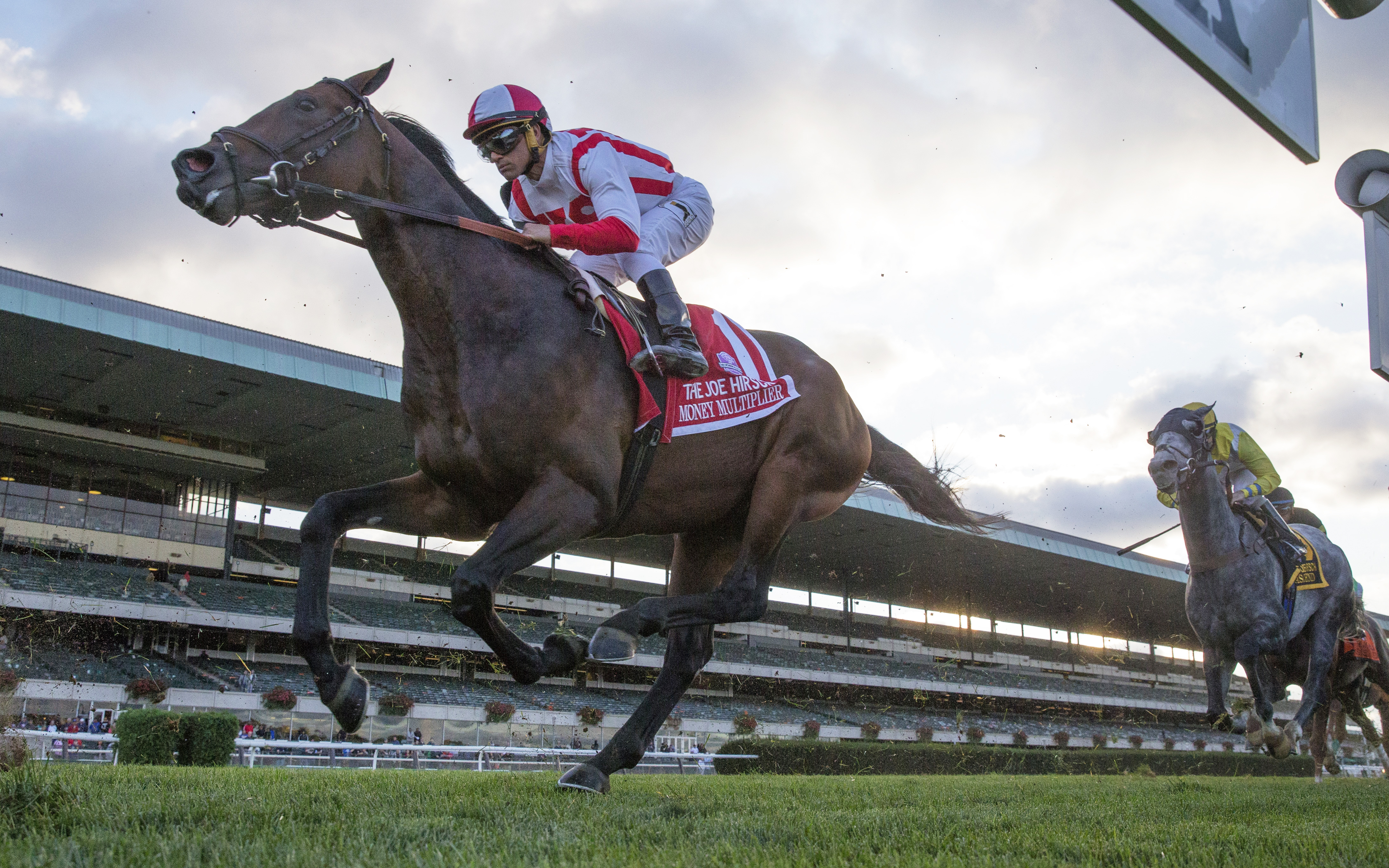 Money Multiplier finishes eighth in the Joe Hirsch Turf Classic