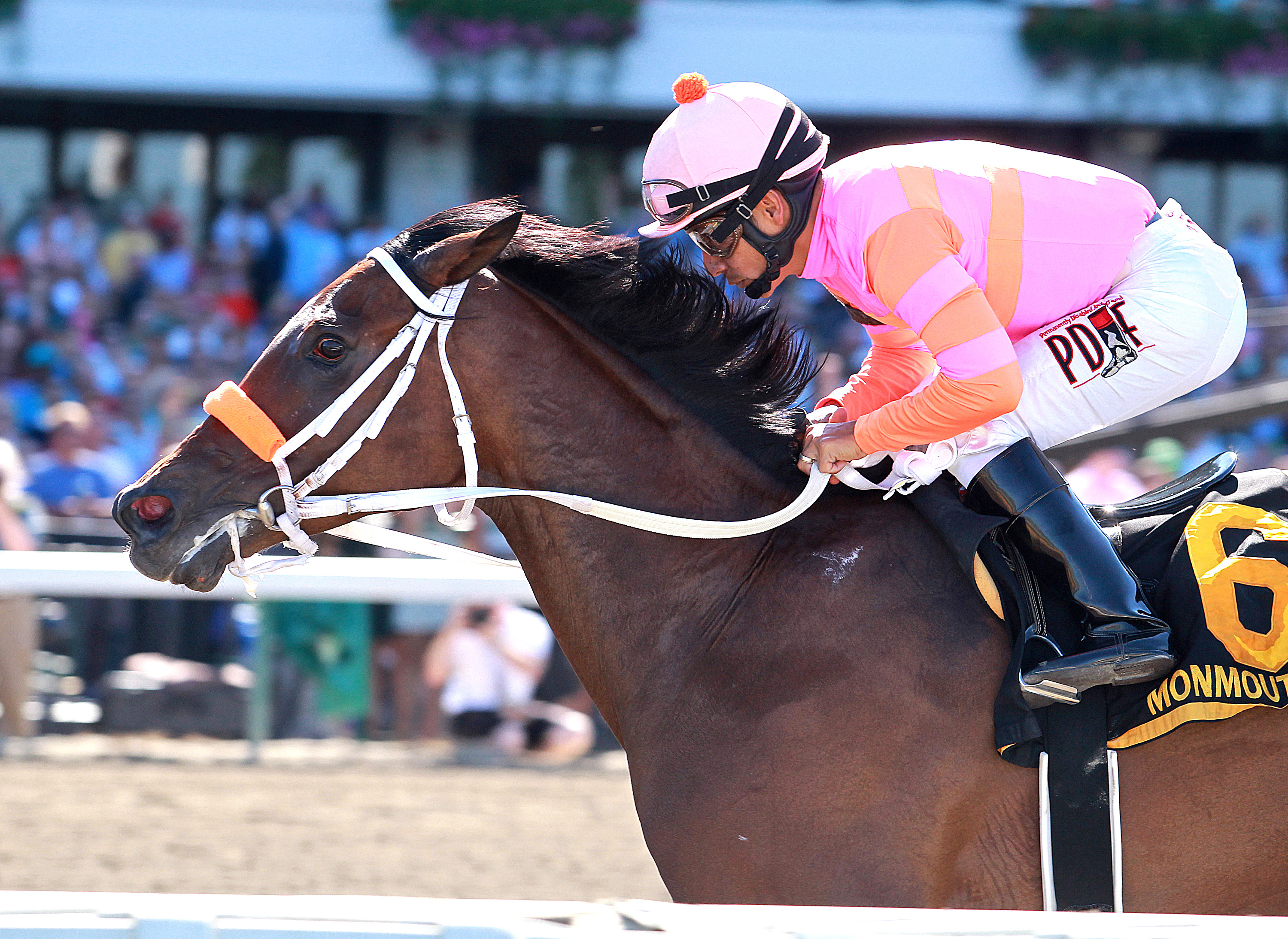 Money'soncharlotte wins the Molly Pitcher Stakes at Monmouth Park 7.30.17_BD