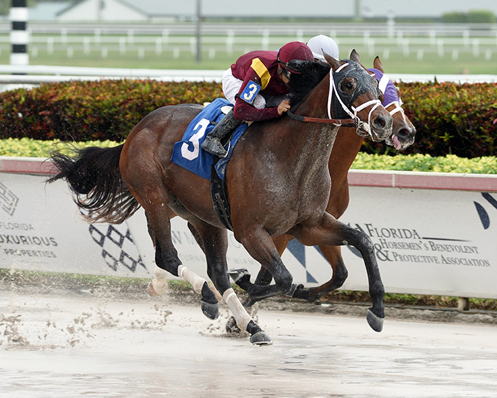 Money Moves wins a Feb. 15 maiden race at Gulfstream Park