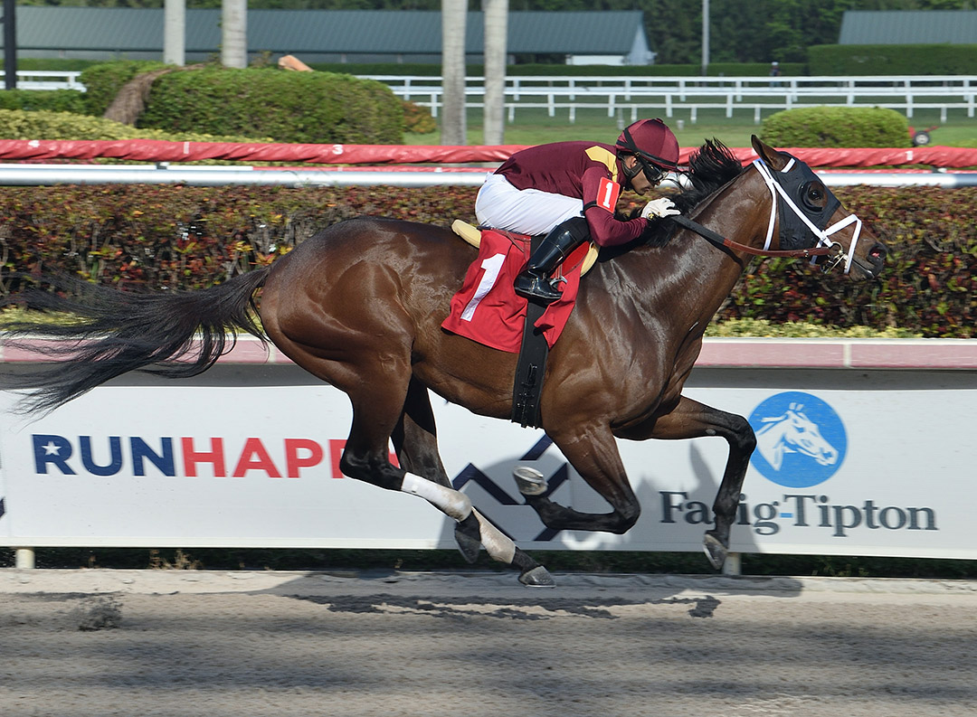 Money Moves wins a March 27 allowance at Gulfstream Park