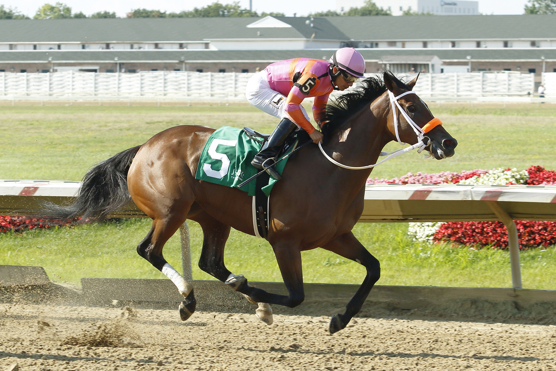 Moneysoncharlotte wins the 2017 Lady Jacqueline Stakes