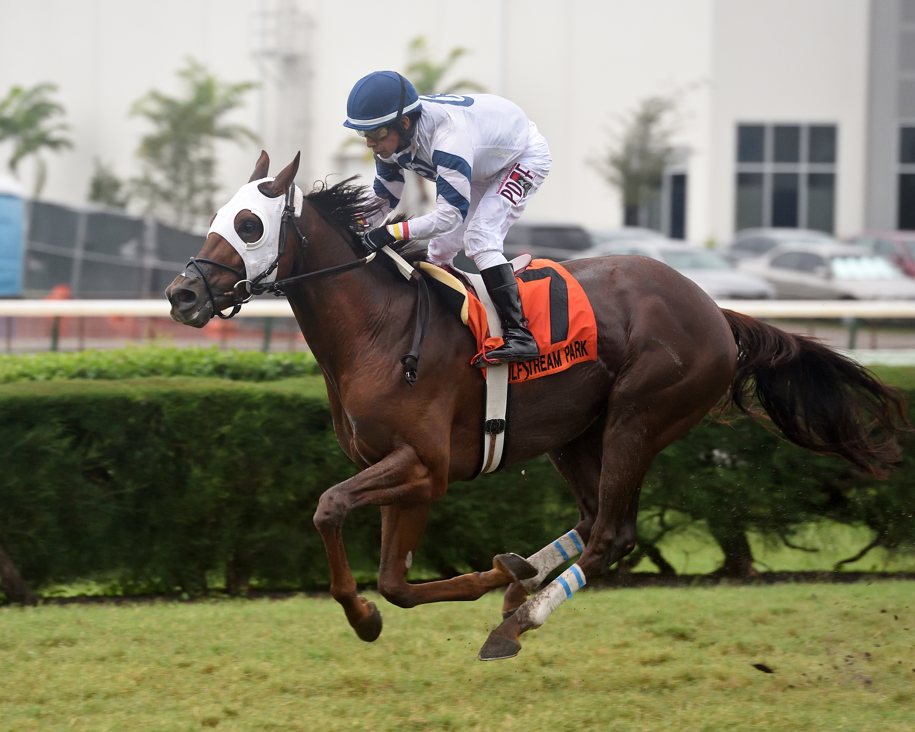 Monforte wins the Showing Up Stakes 11-7-2020