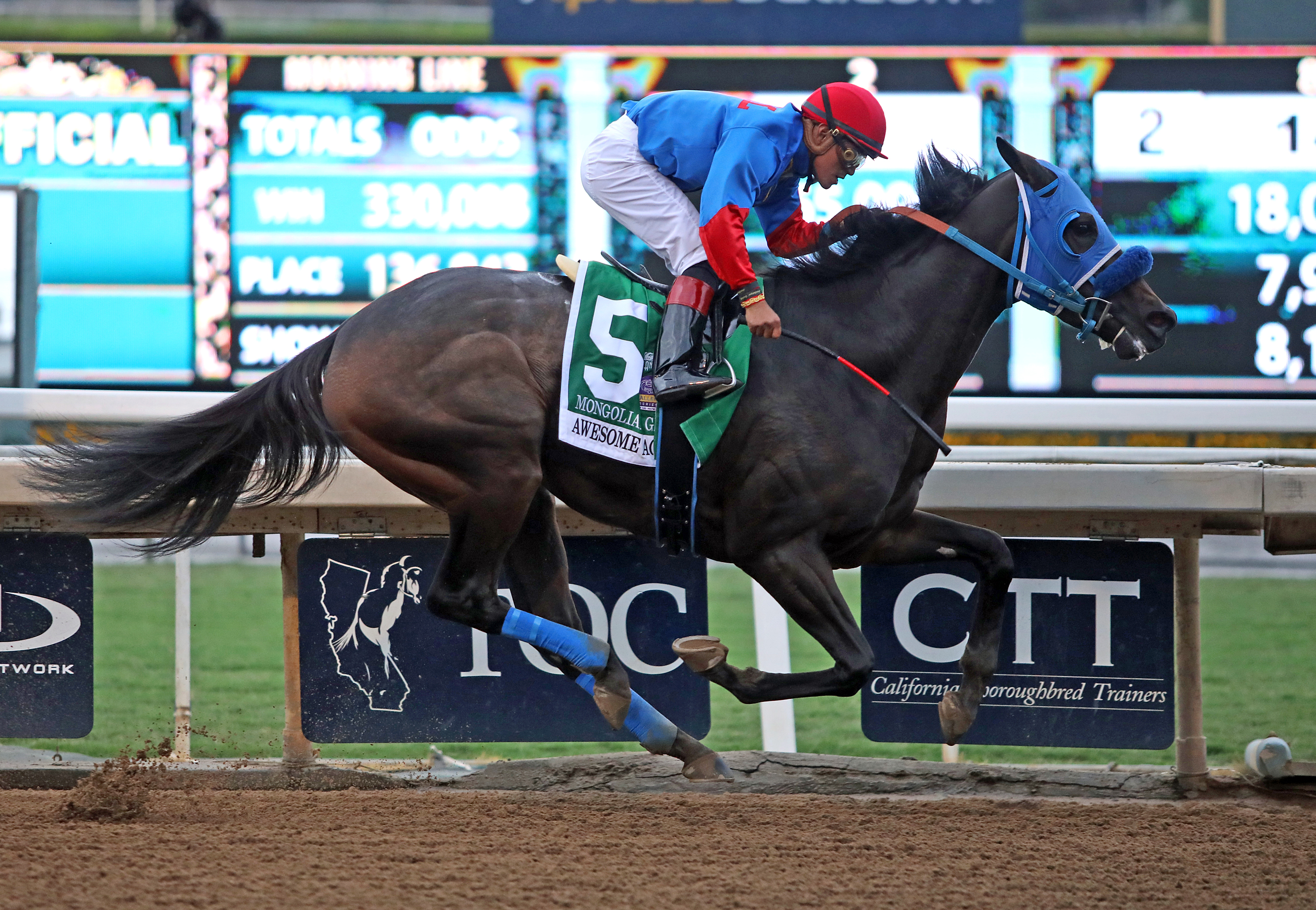 Mongolian Groom wins the 2019 Awesome Again Stakes