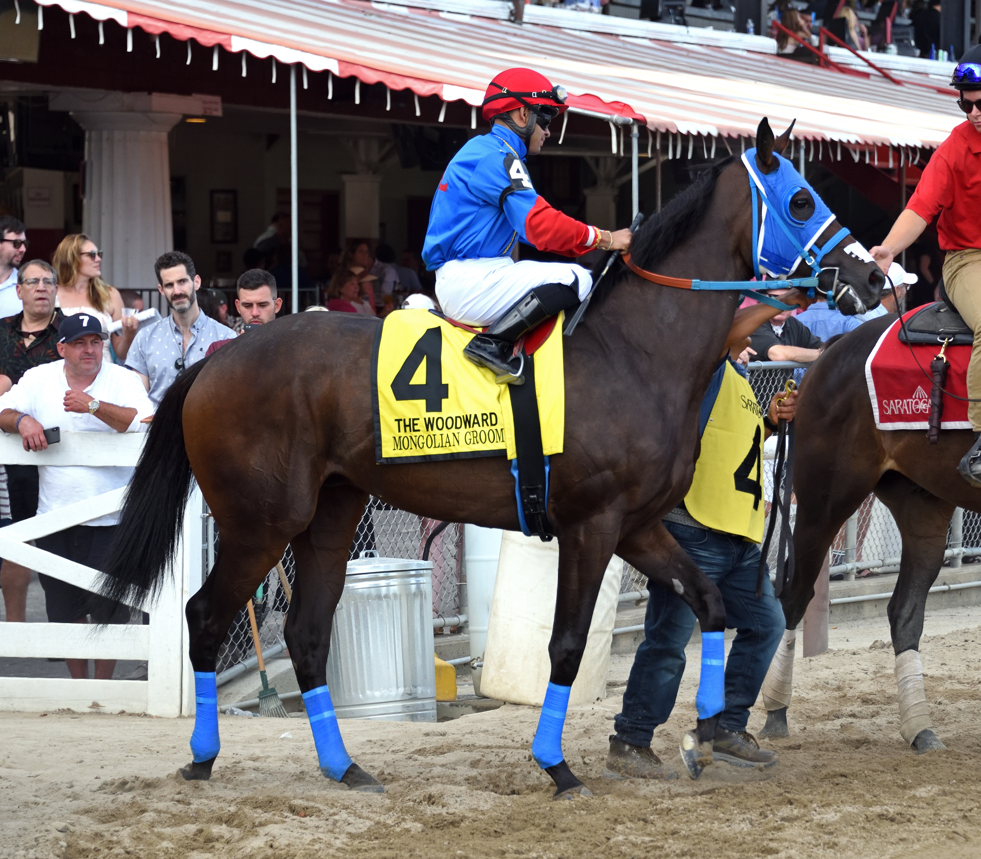 Mongolian Groom at Saratoga before the 2019 Woodward Stakes