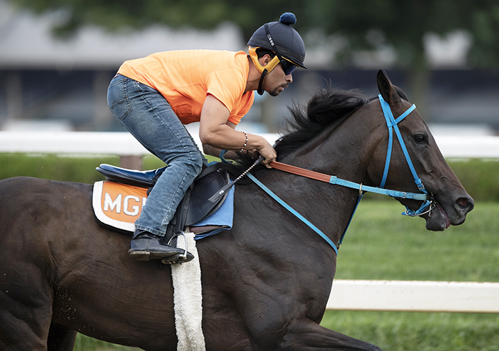 Mongolian Groom trains at Saratoga Race Course on Aug. 27