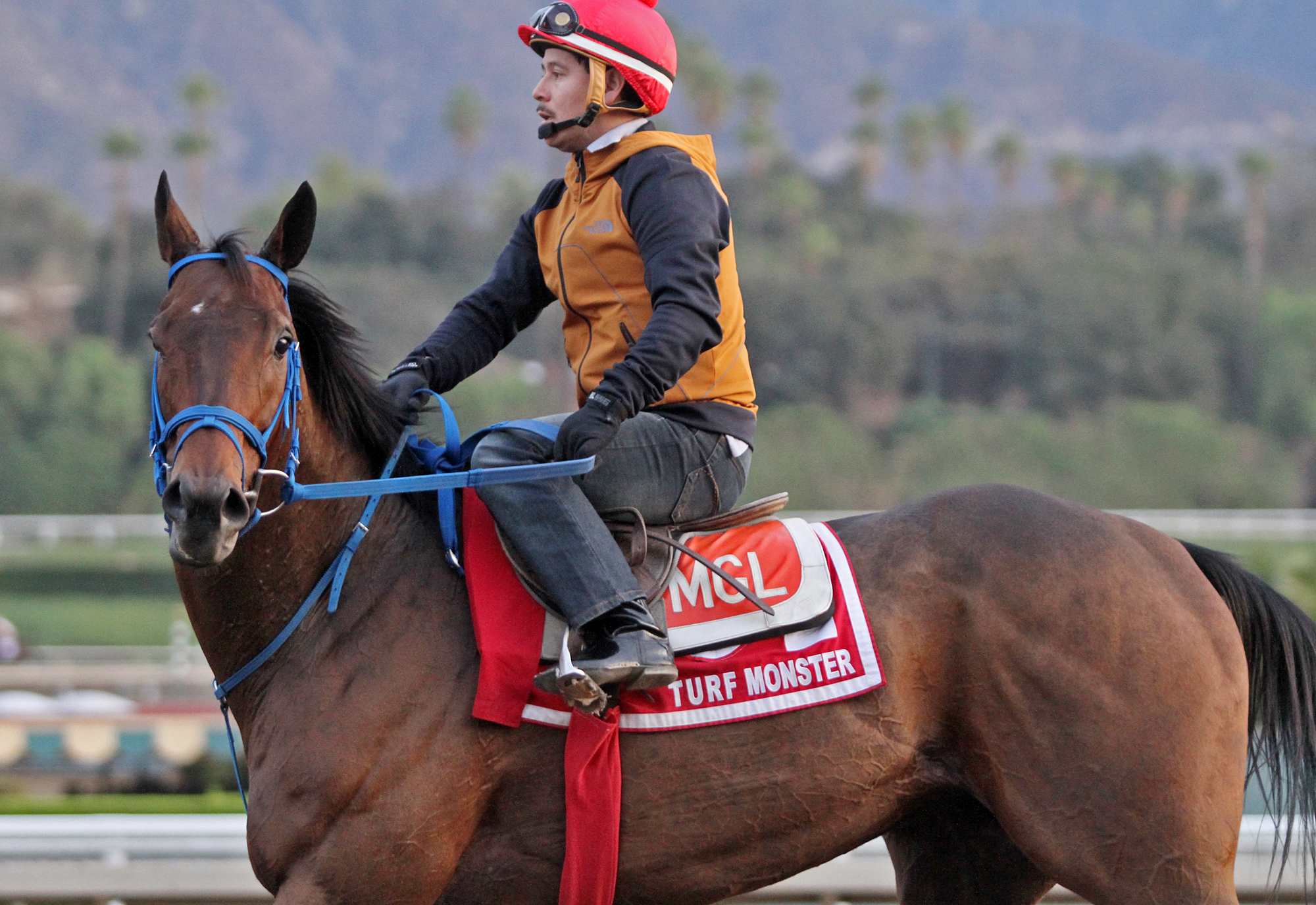 Mongolian Saturday at Santa Anita on Oct. 27