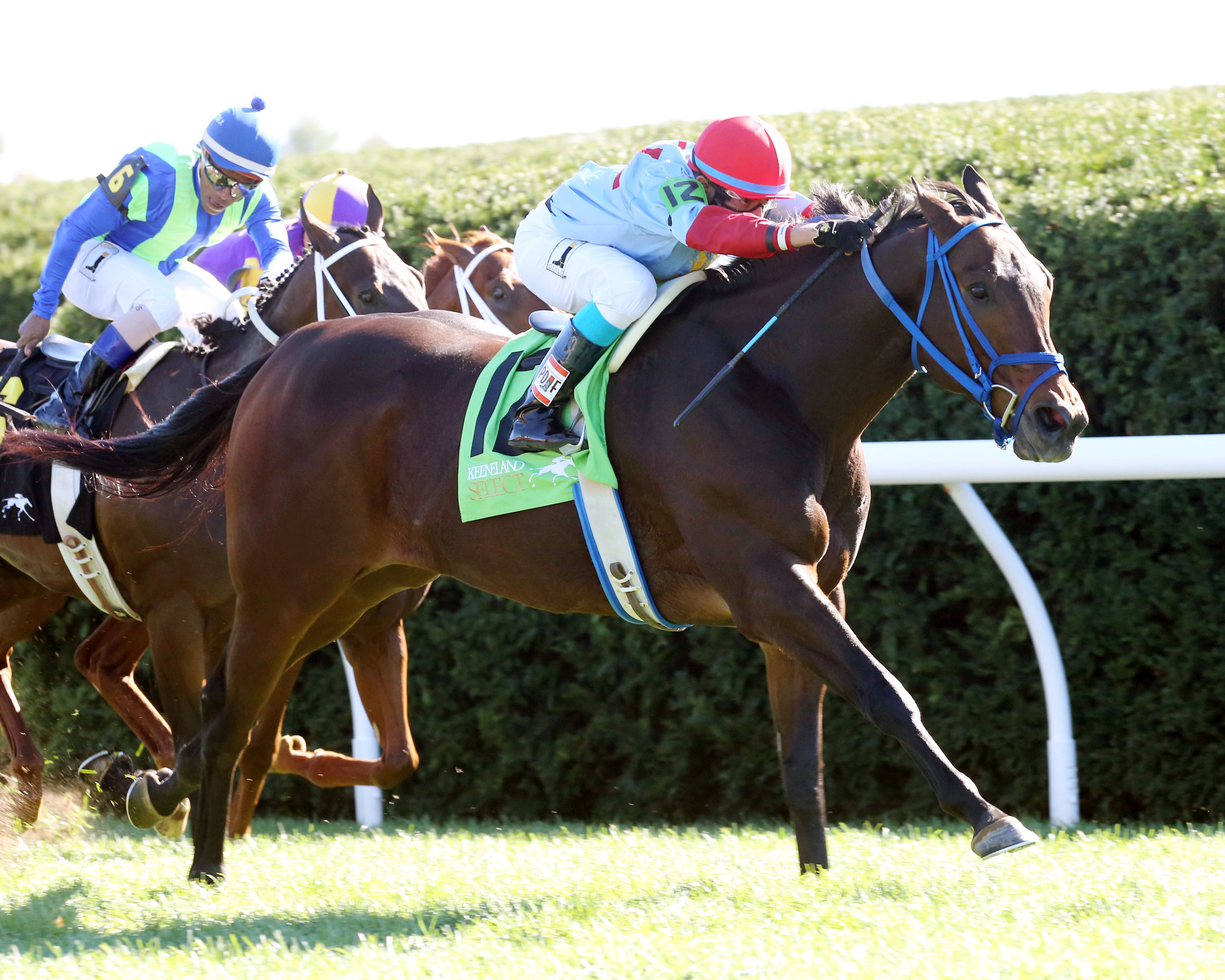Mongolian Saturday wins the Woodford