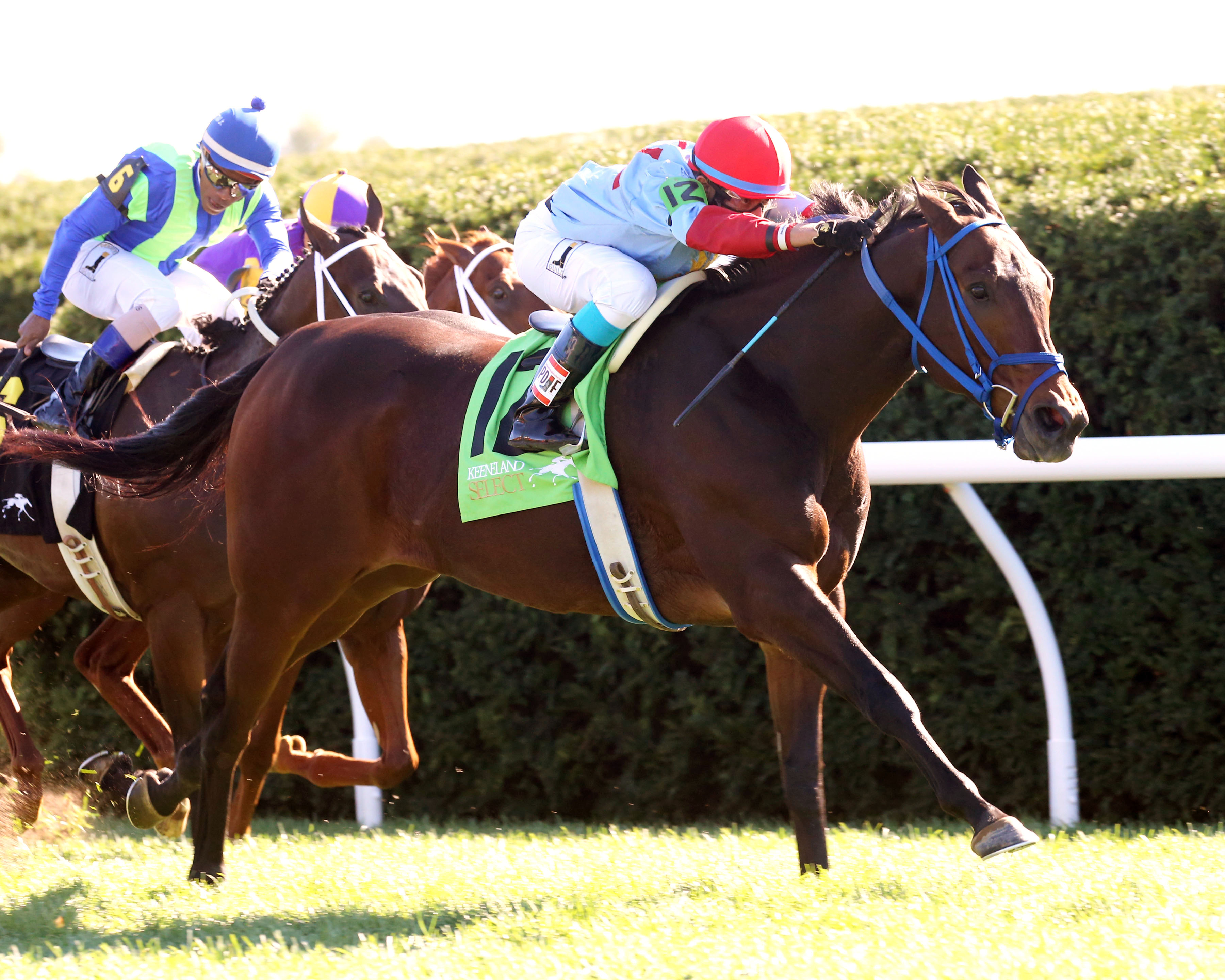 Mongolian Saturday wins the 2016 Woodford Stakes