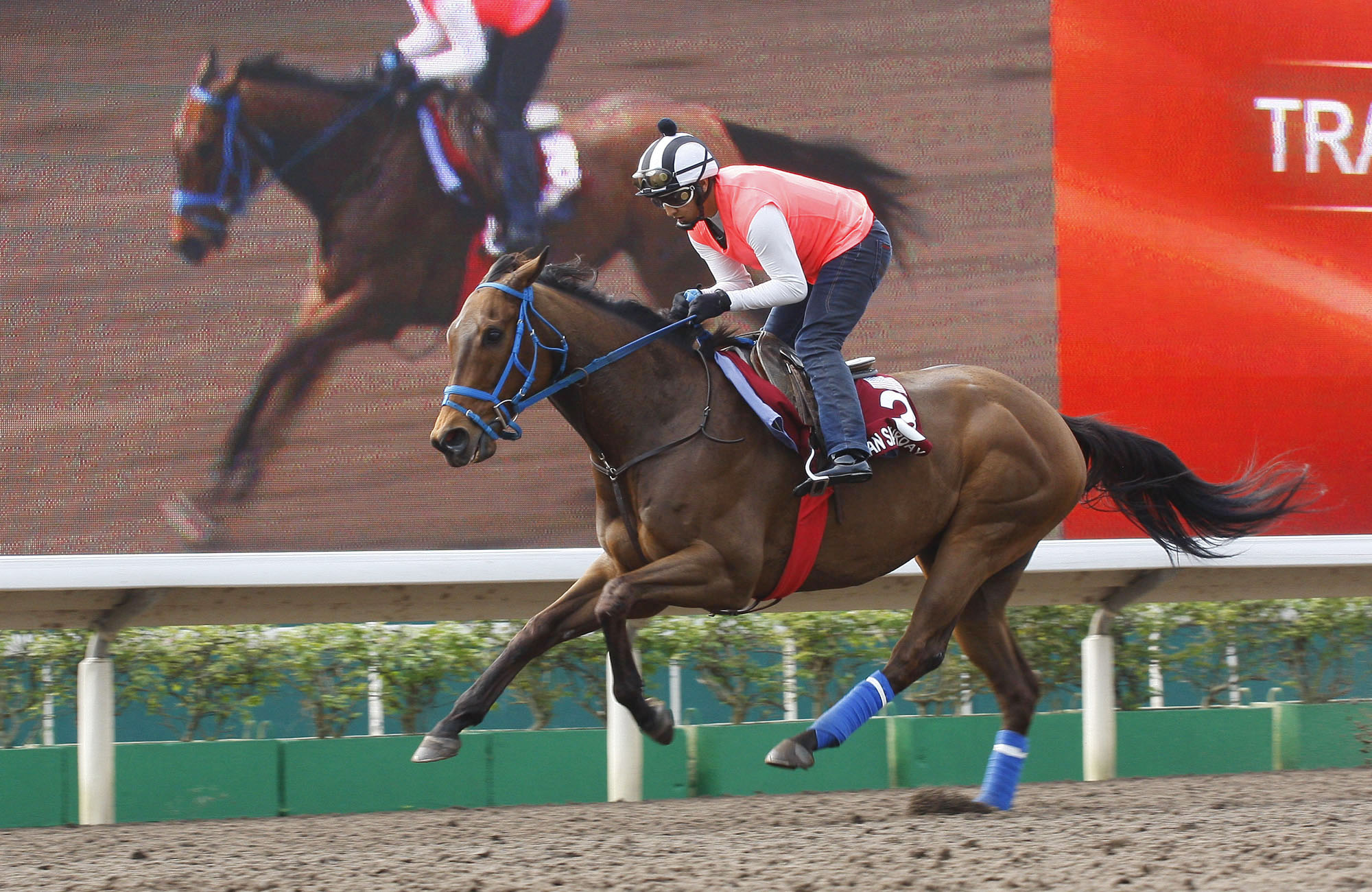 Mongolian Saturday trains at Sha Tin on April 21