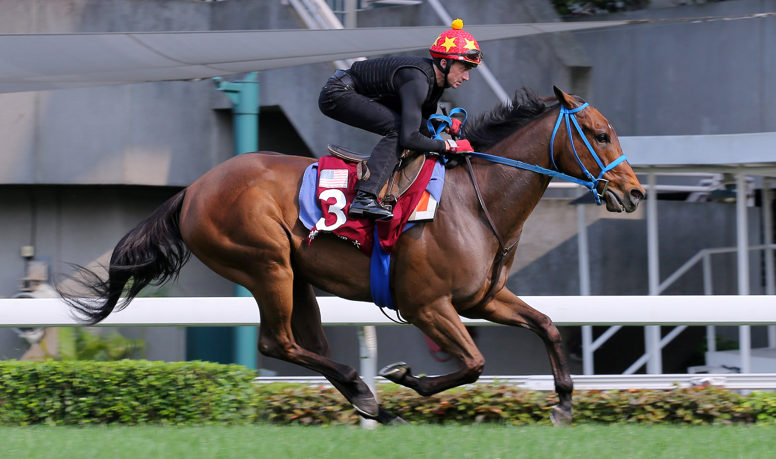Mongolian Saturday trains at Sha Tin Racecourse on April 25