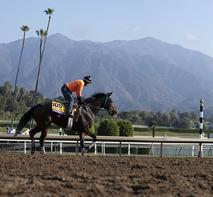 Mongolian Groom trains at Santa Anita Park on Oct. 27
