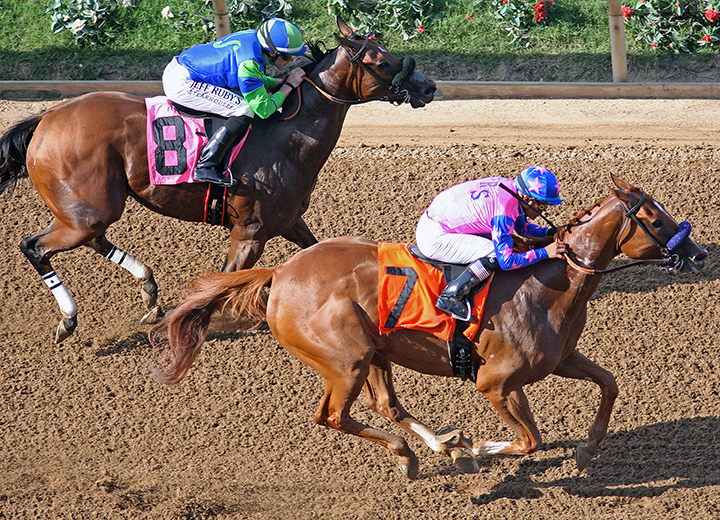 Mongolian Humor wins an Aug. 25 allowance at Del Mar