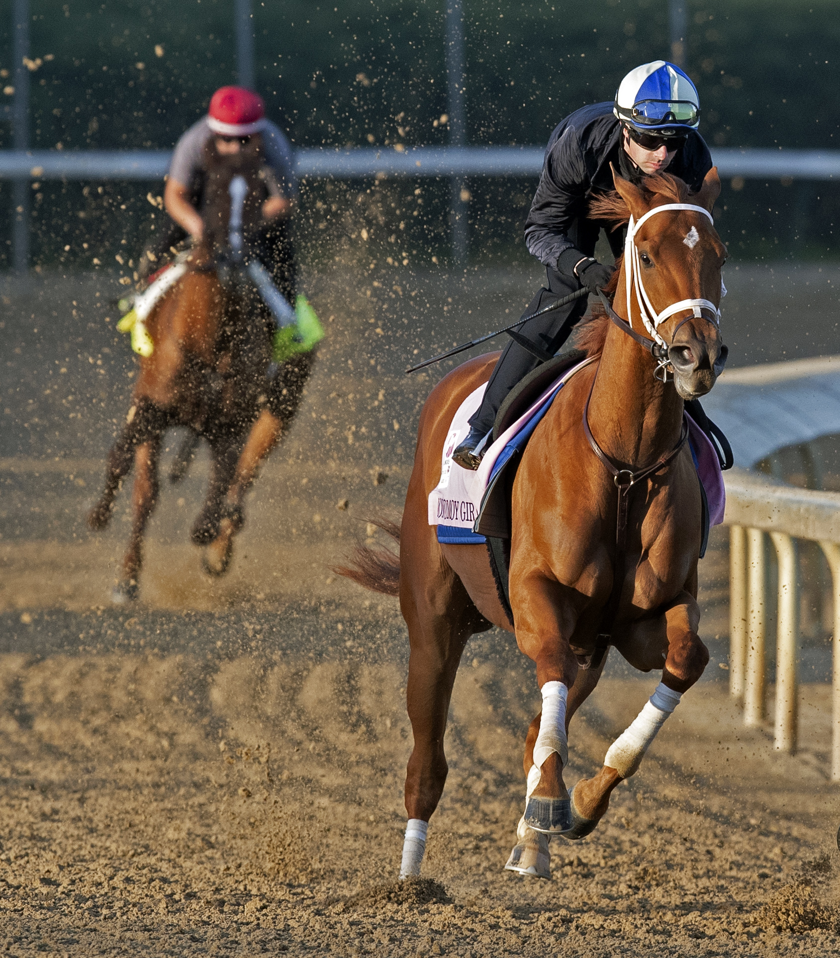 Monomoy Girl works 4-28-2018