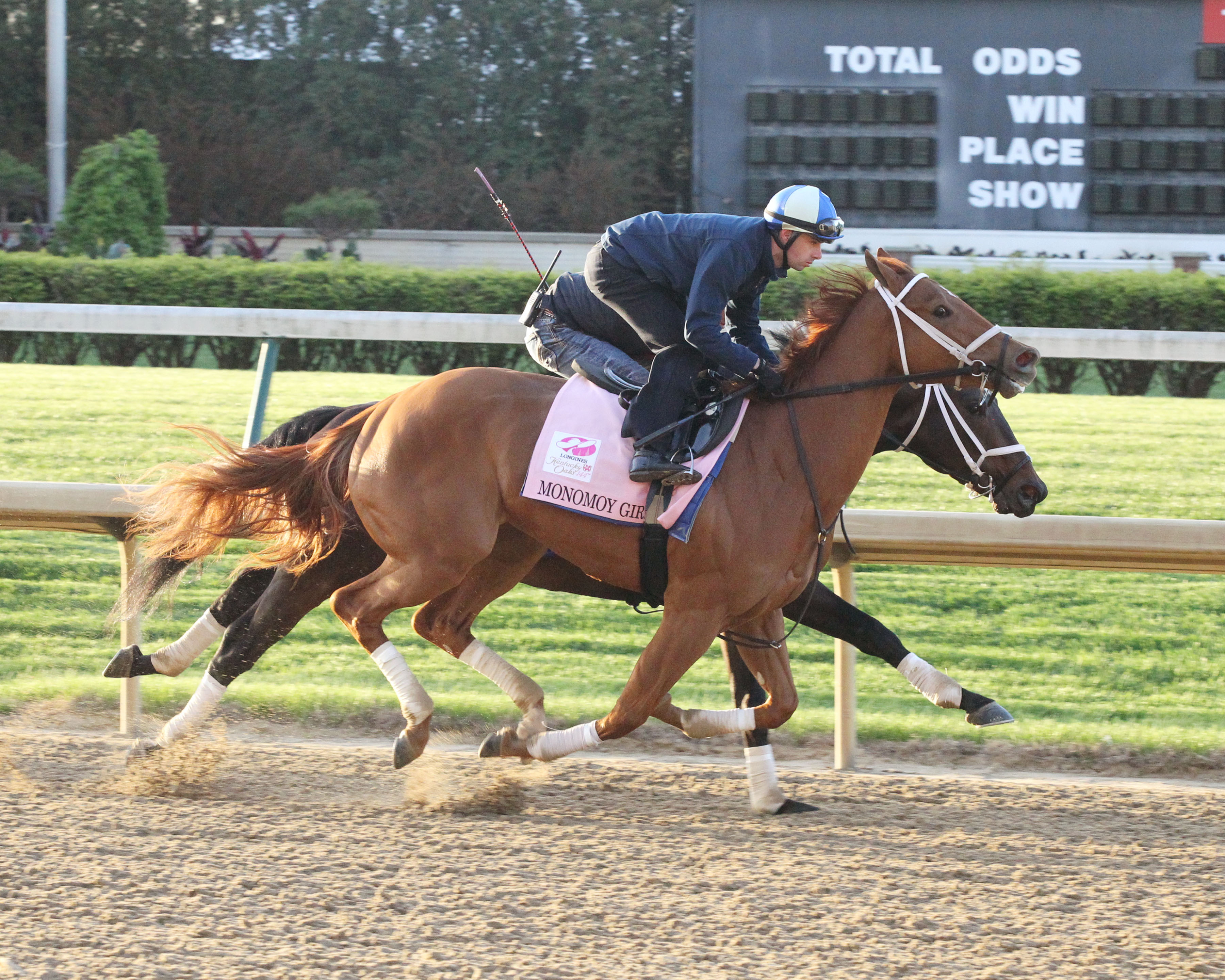 Monomoy Girl