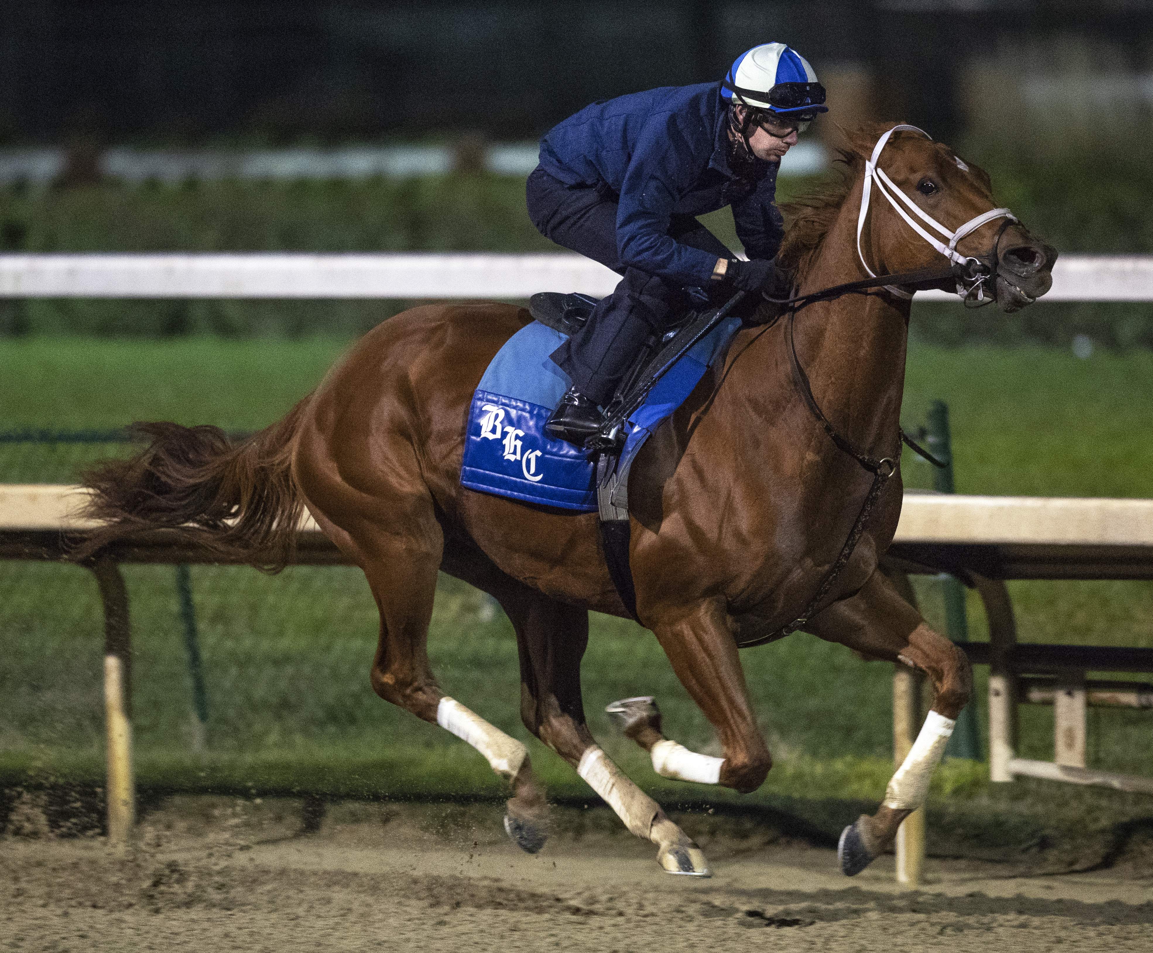 Monomoy Girl