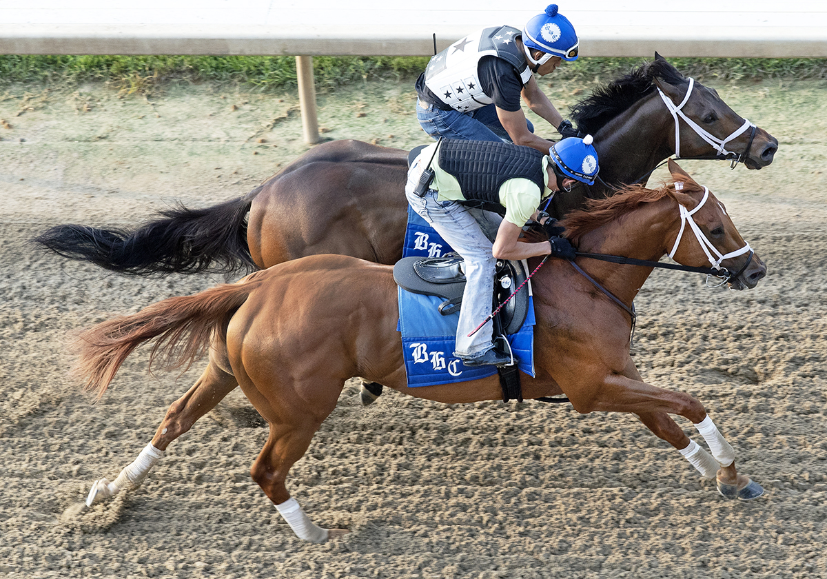 Dazzling Gem trains with Monomoy Girl on June 3