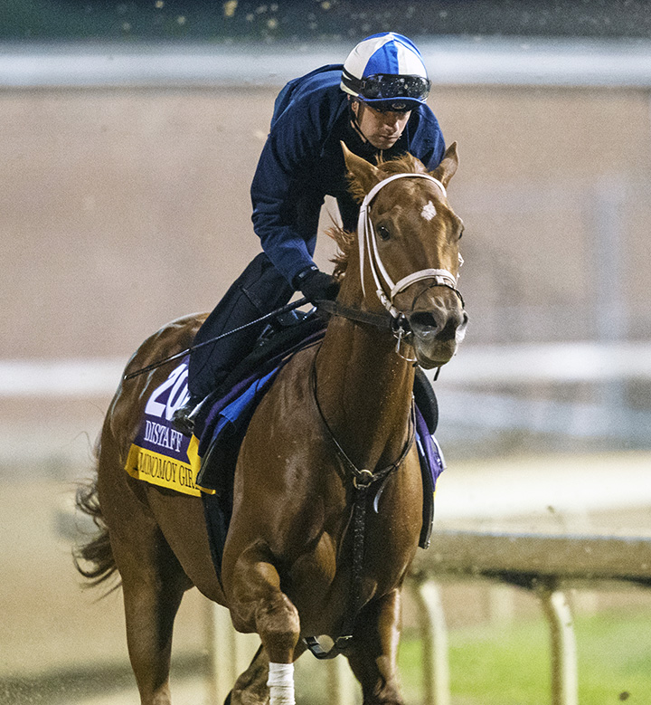 Monomoy Girl trains at Churchill on Oct. 28