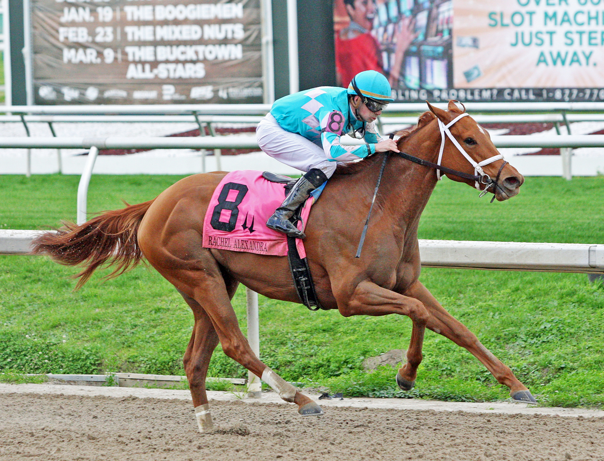 Monomoy Girl wins the Rachel Alexandra Stakes