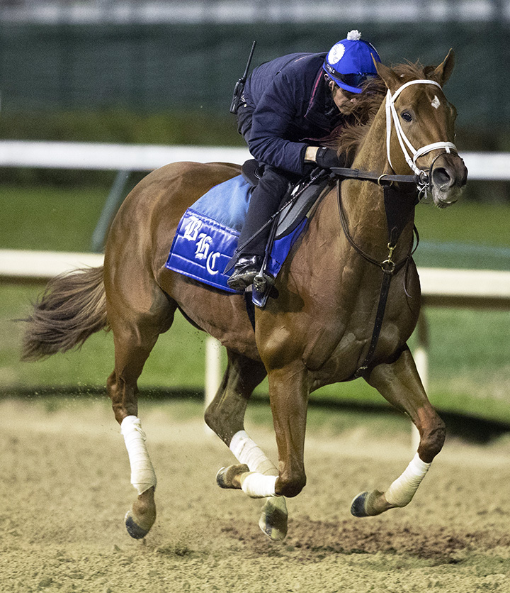 Monomoy Girl gallops at Churchill on Oct. 24
