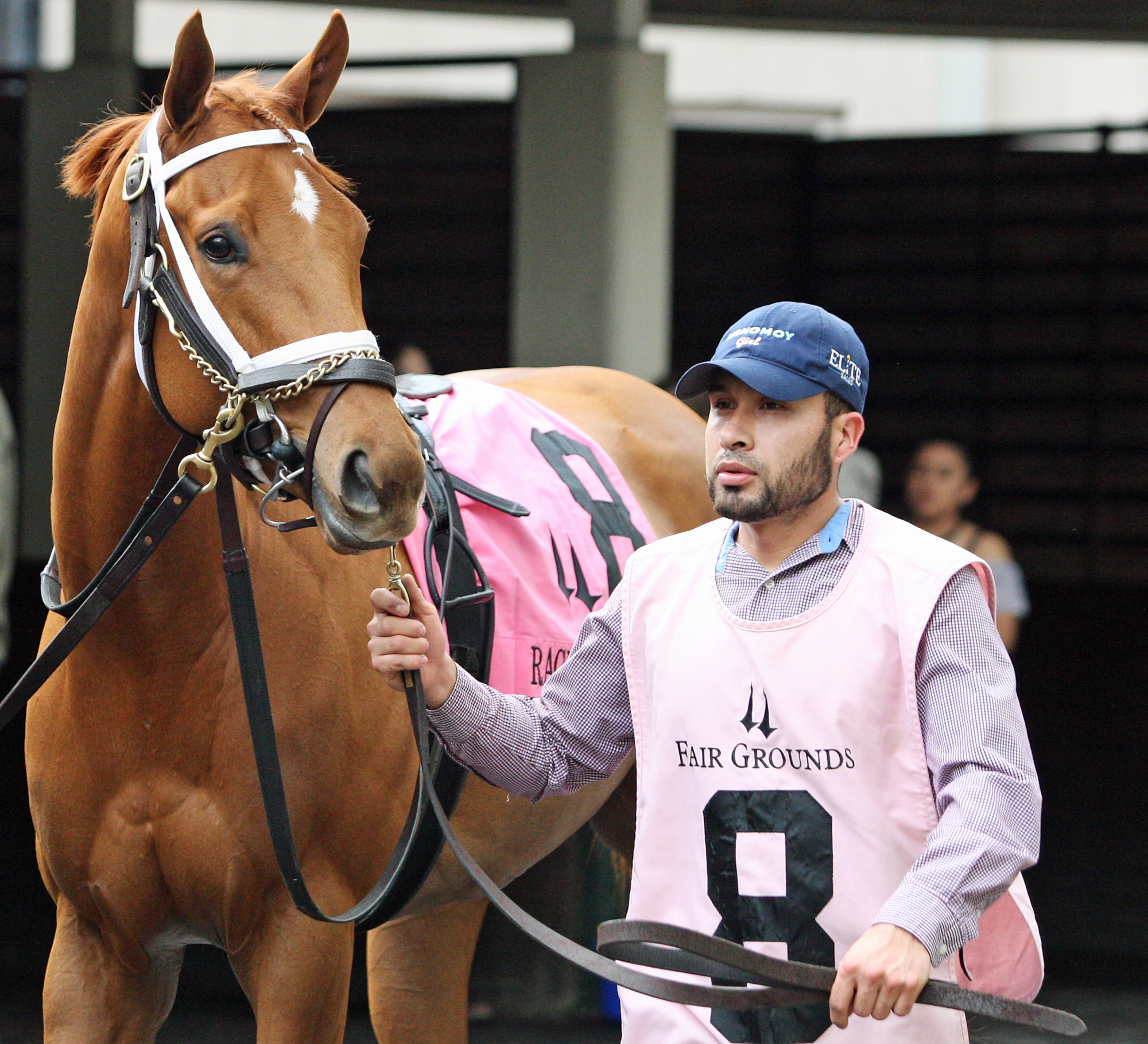 Monomoy Girl at the Rachel Alexandra Stakes