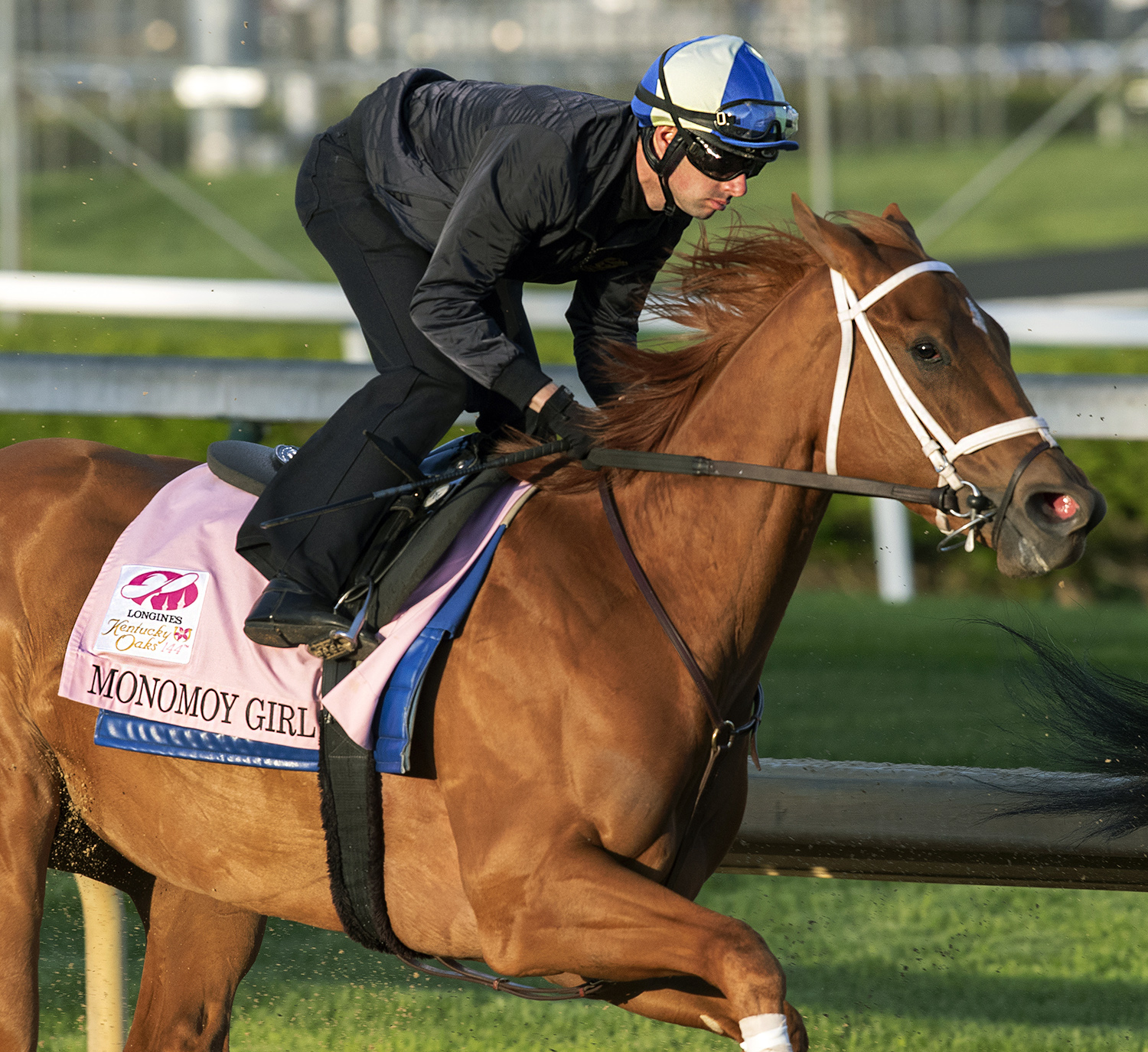 Monomoy Girl trains at Churchill on April 28
