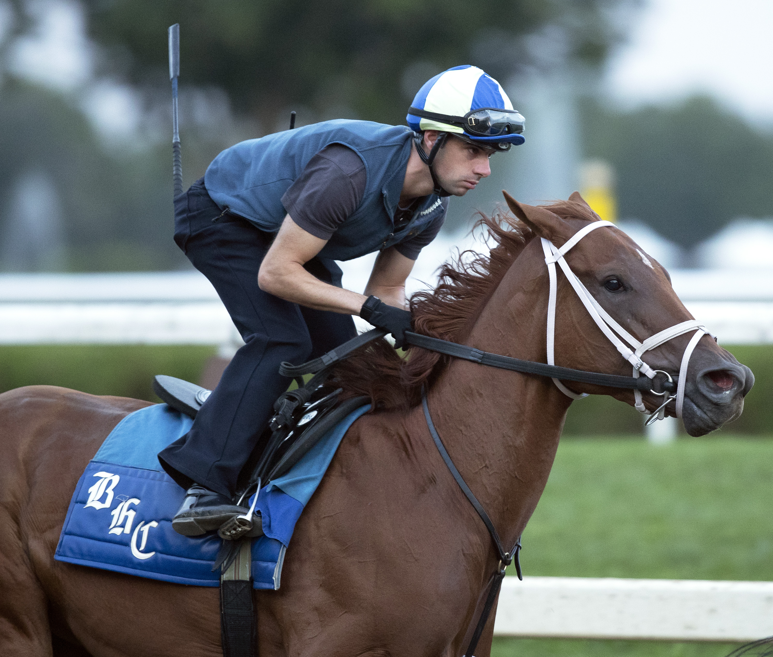 Monomoy Girl