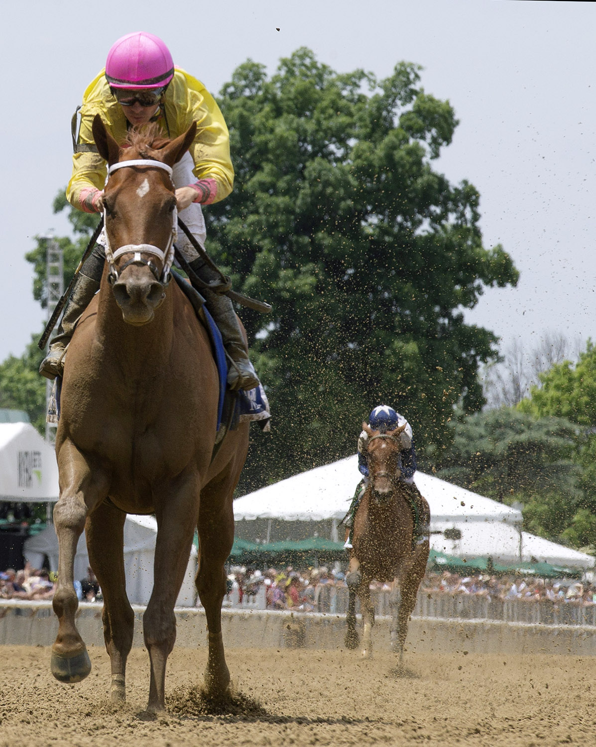 Monomoy Girl wins the 2018 Acorn