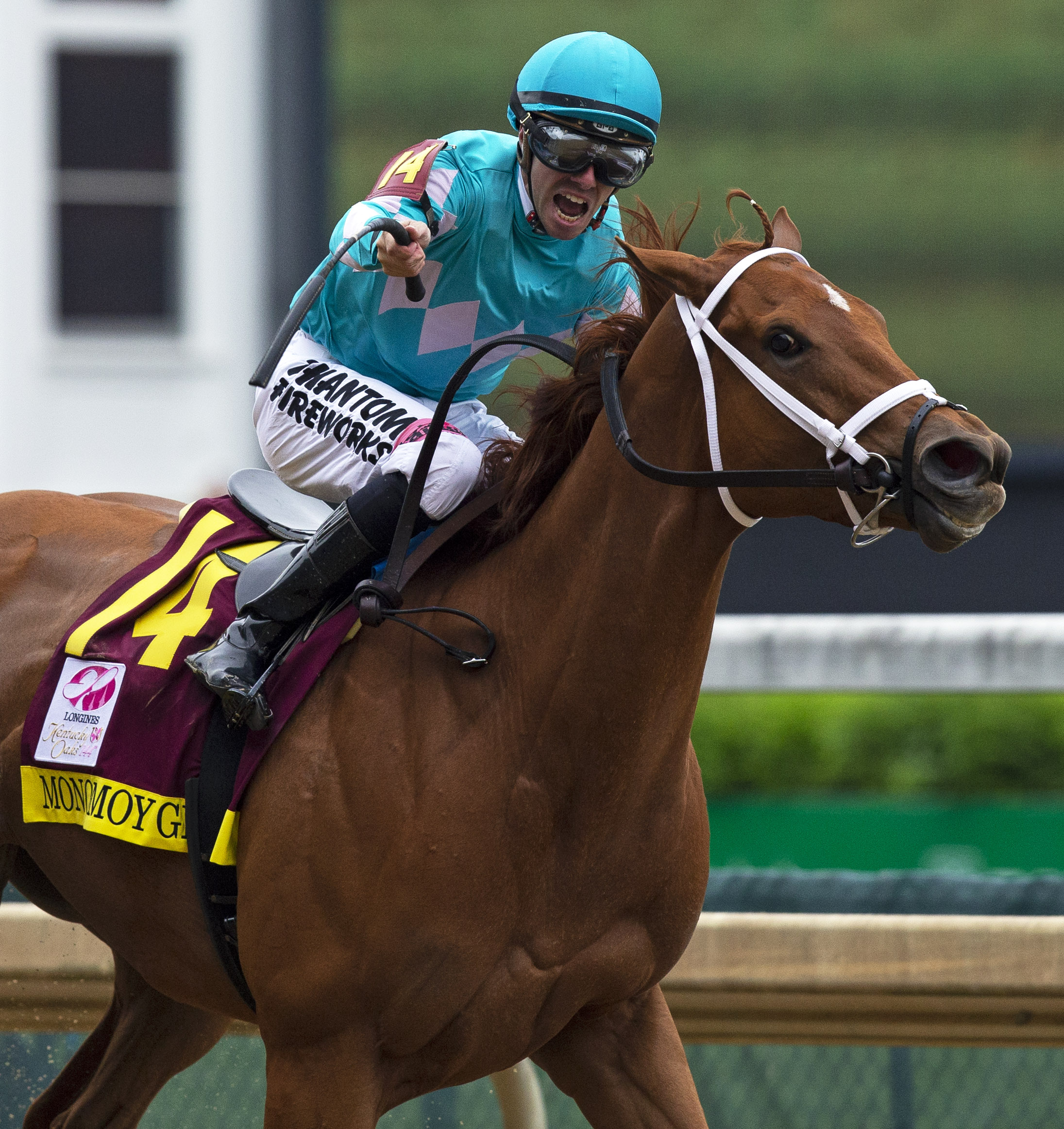 Monomoy Girl