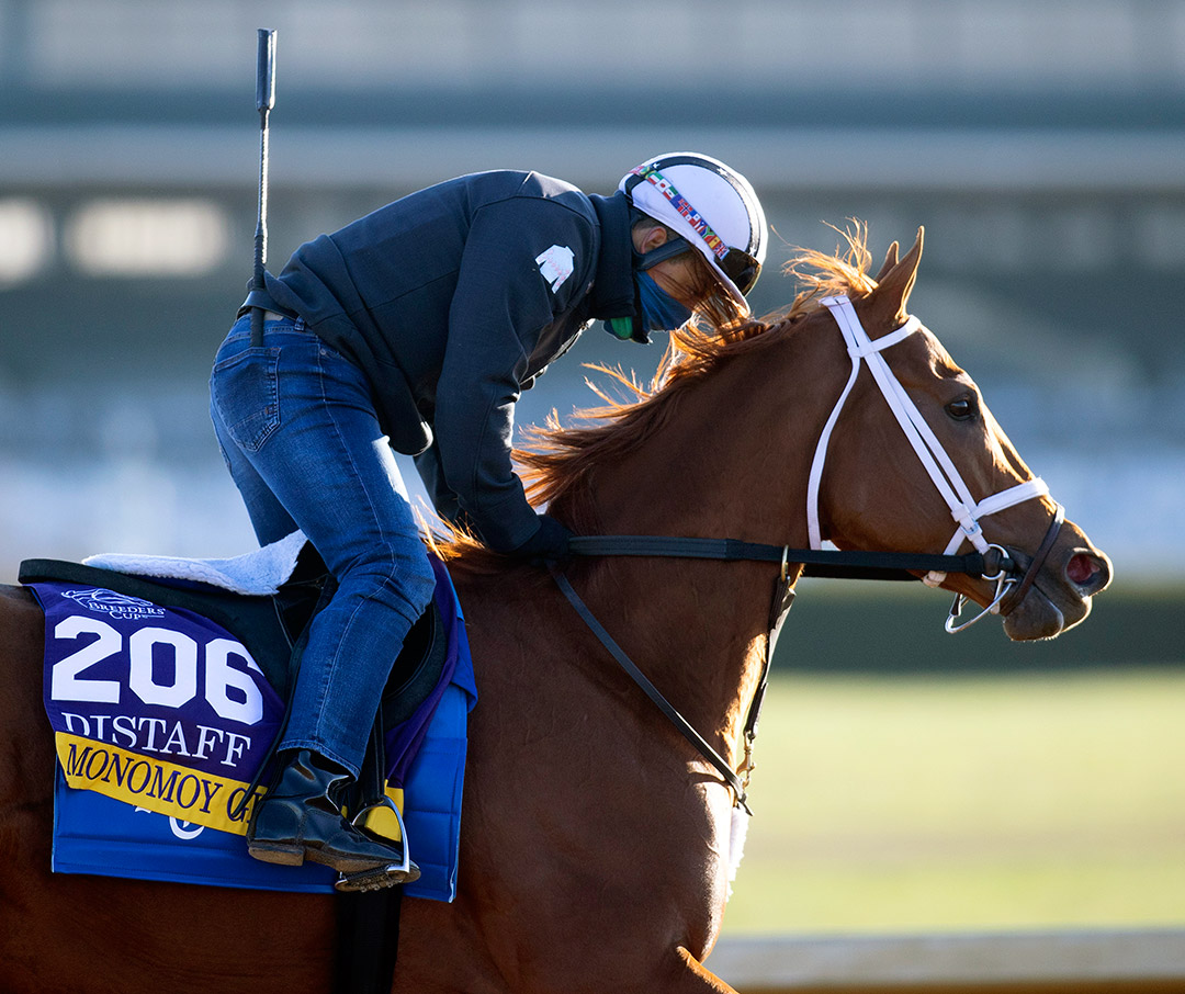 Monomoy Girl trains at Keeneland on Nov. 2