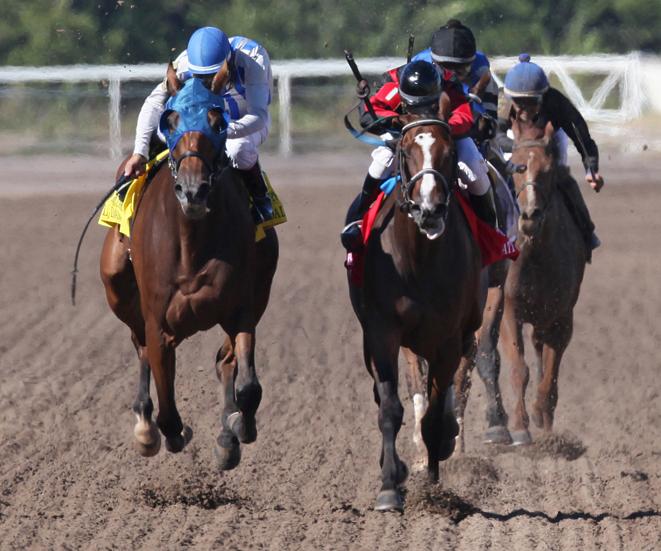 Montana Native wins the Remington Park Oaks