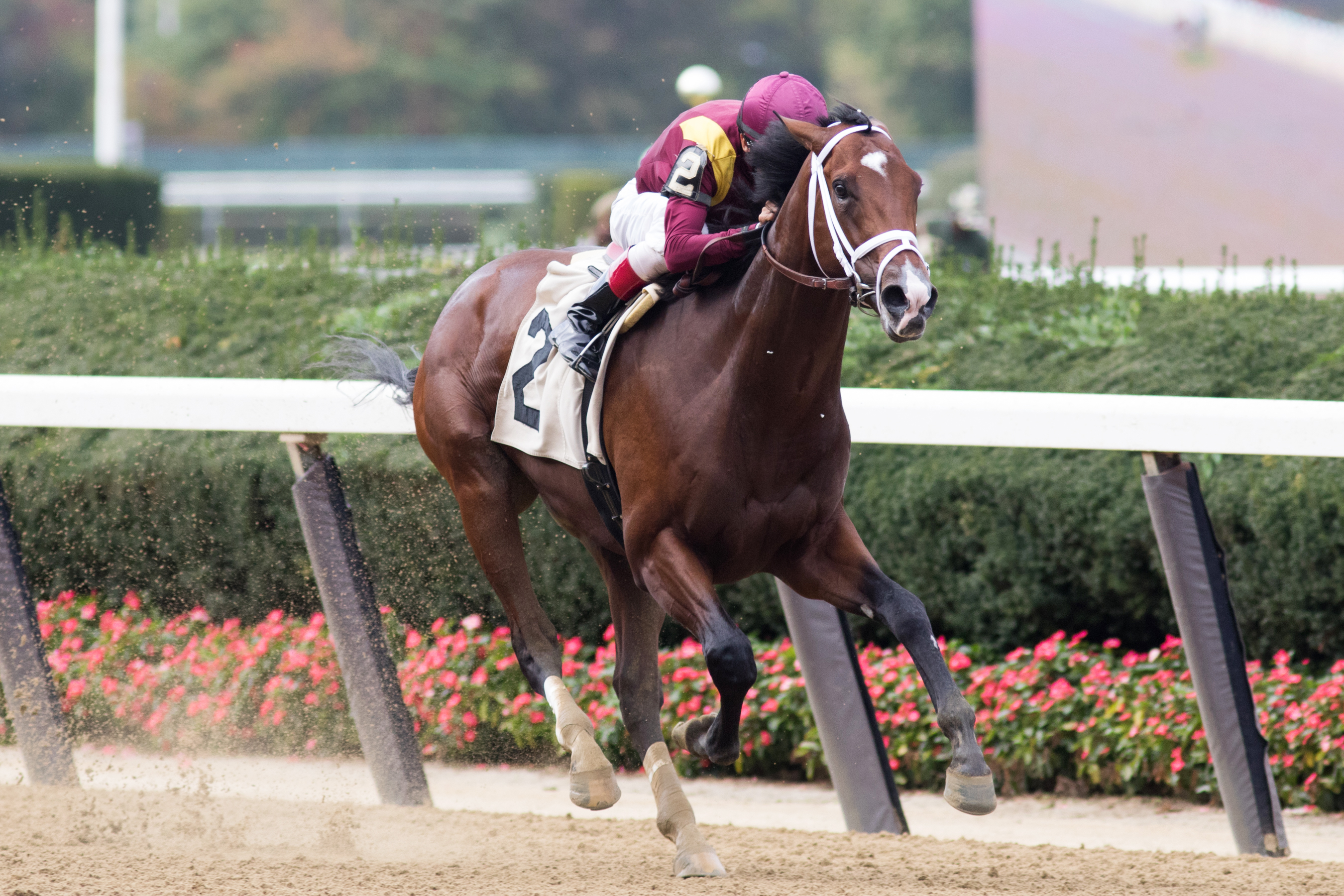 Montauk wins an Oct. 7 maiden race