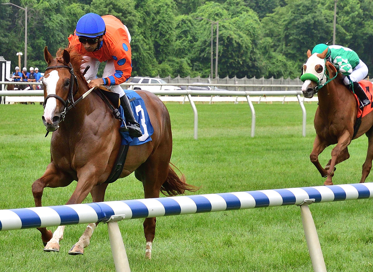 Monte Crista wins a June 23 allowance race