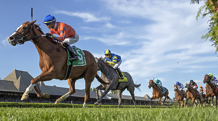 Monte Crista wins the 2018 Riskaverse Stakes.