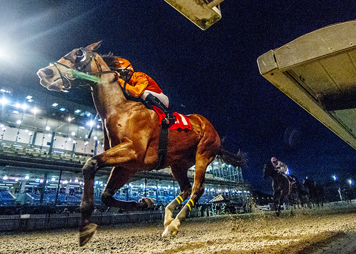 Monte Man wins the 2018 Heitai Stakes