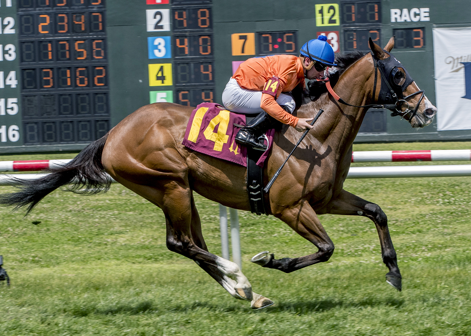 Monte Man wins the 2018 Costa Rising Stakes
