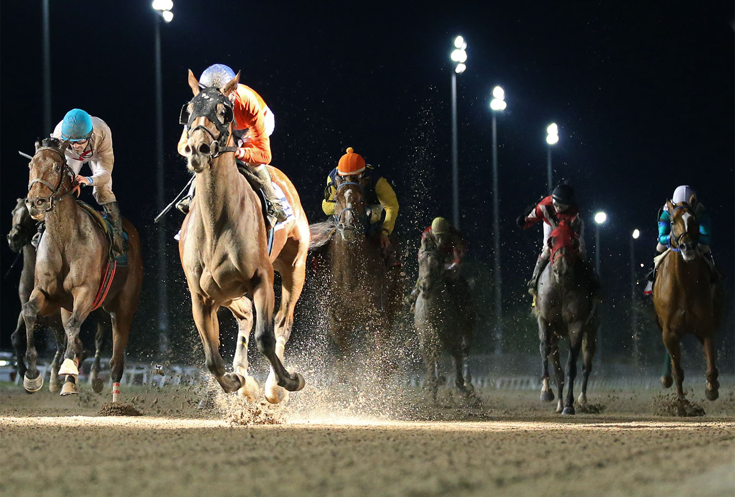 Monte Man wins the 2018 Louisiana Legends Sprint Stakes